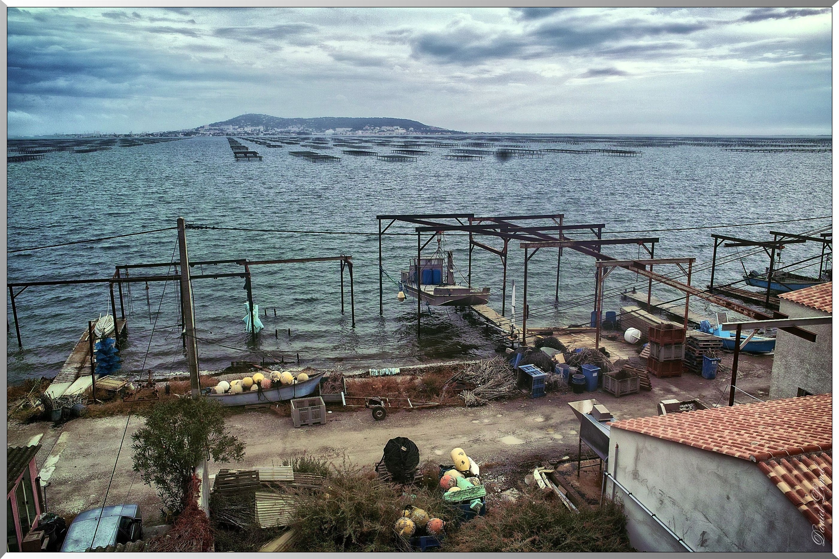 Bouzigues - Parc à huitres