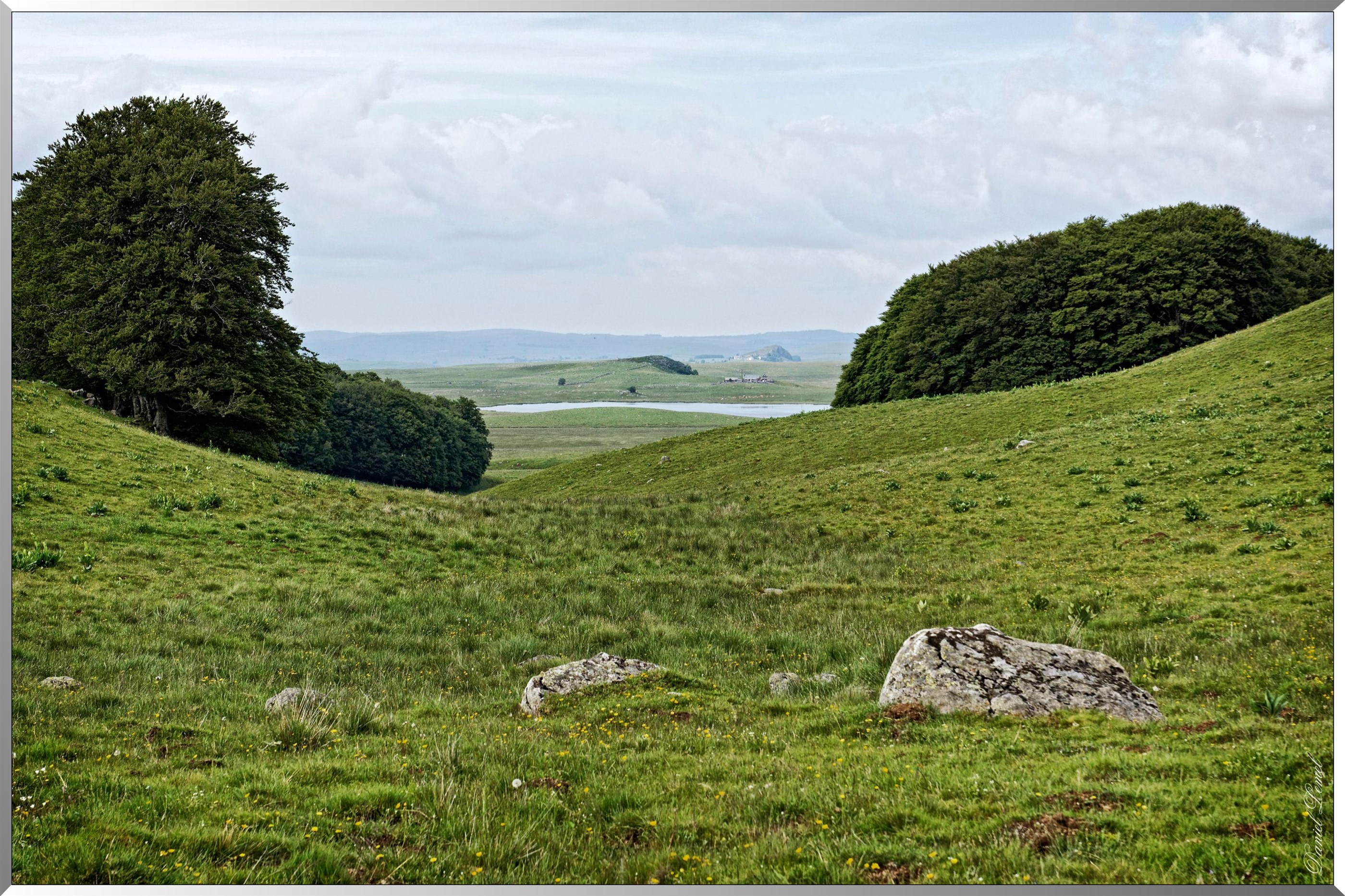 Paysage de l'Aubrac
