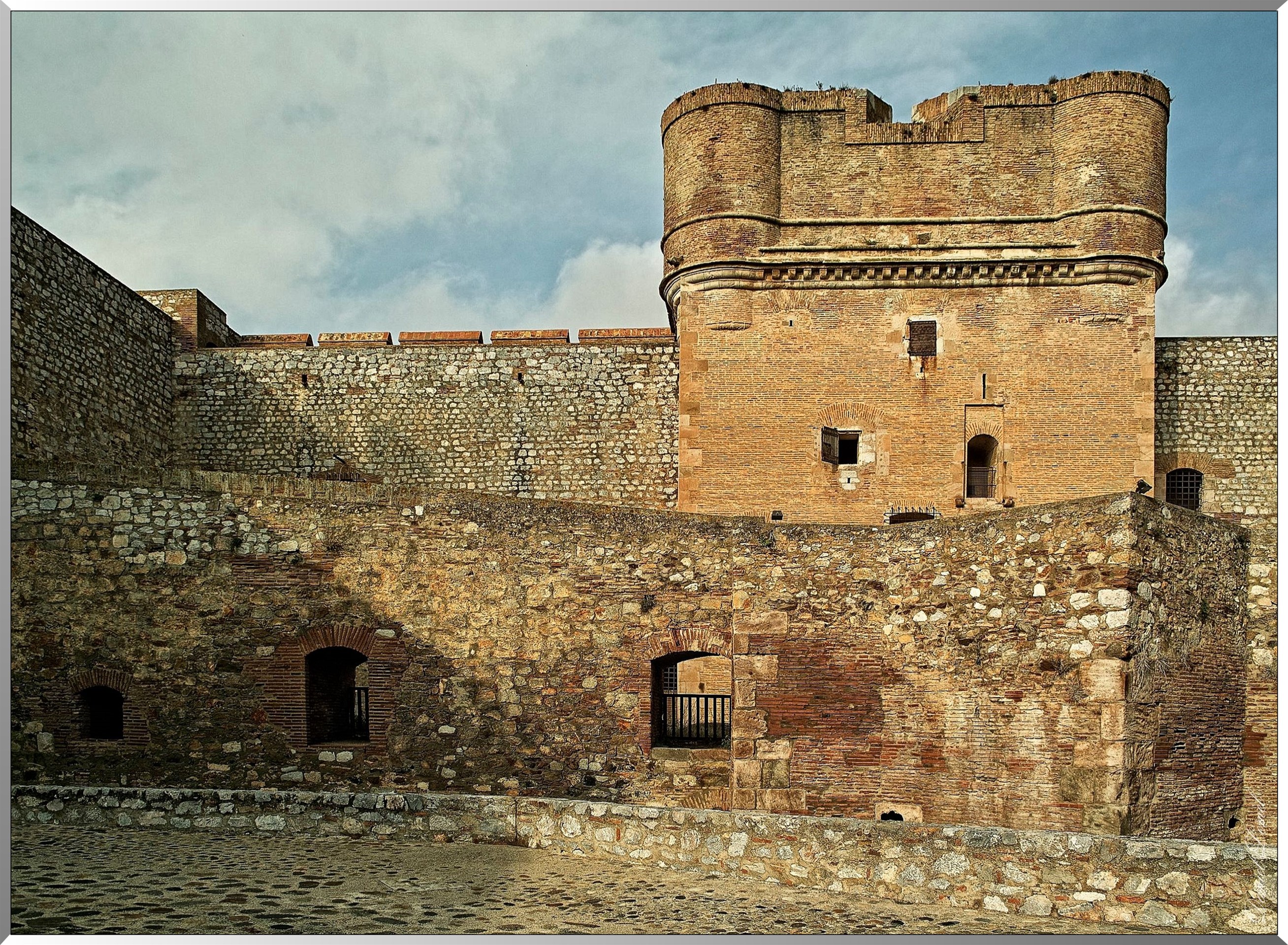 Donjon vue de la cour