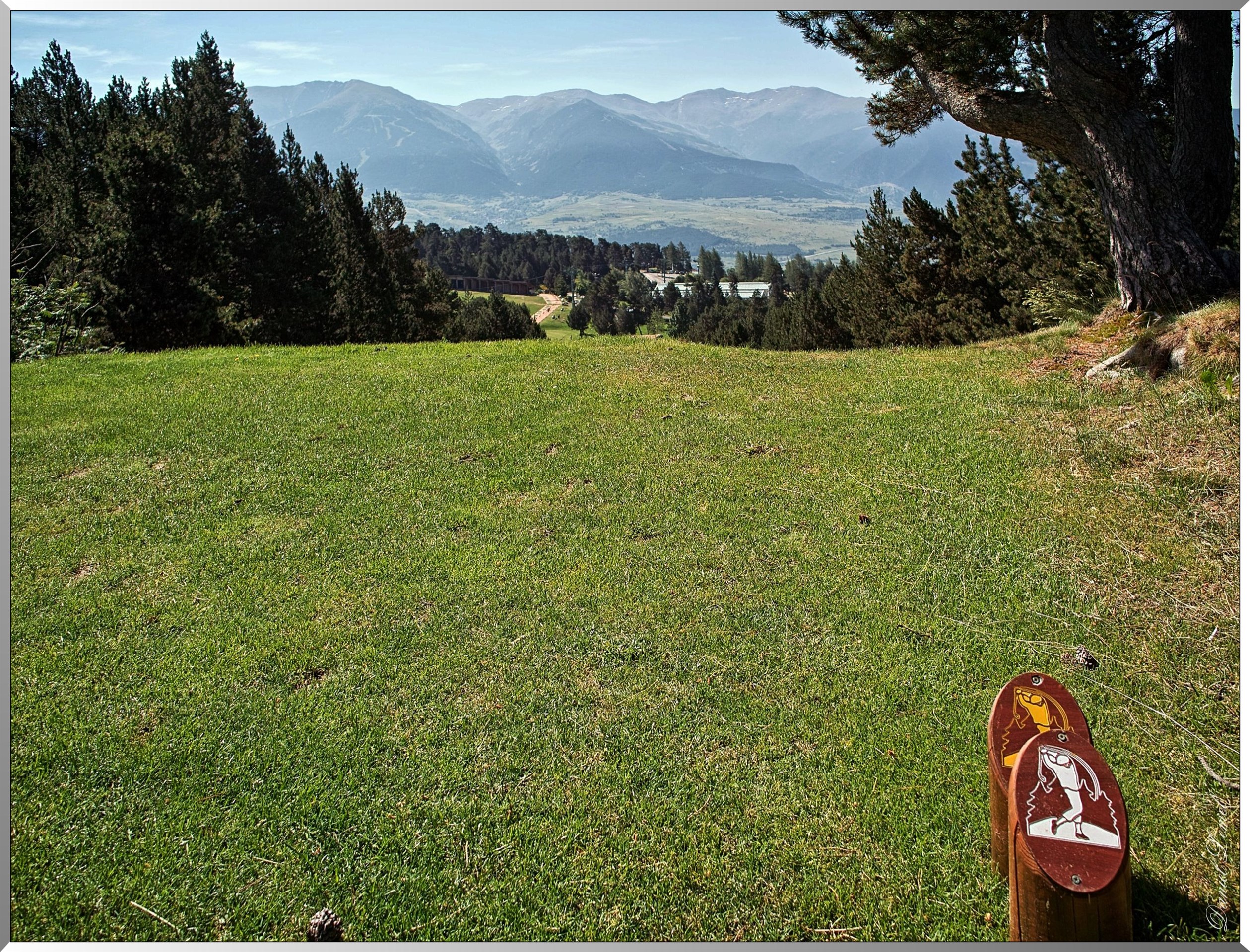 Golf - Forêt communale de Font-Romeu