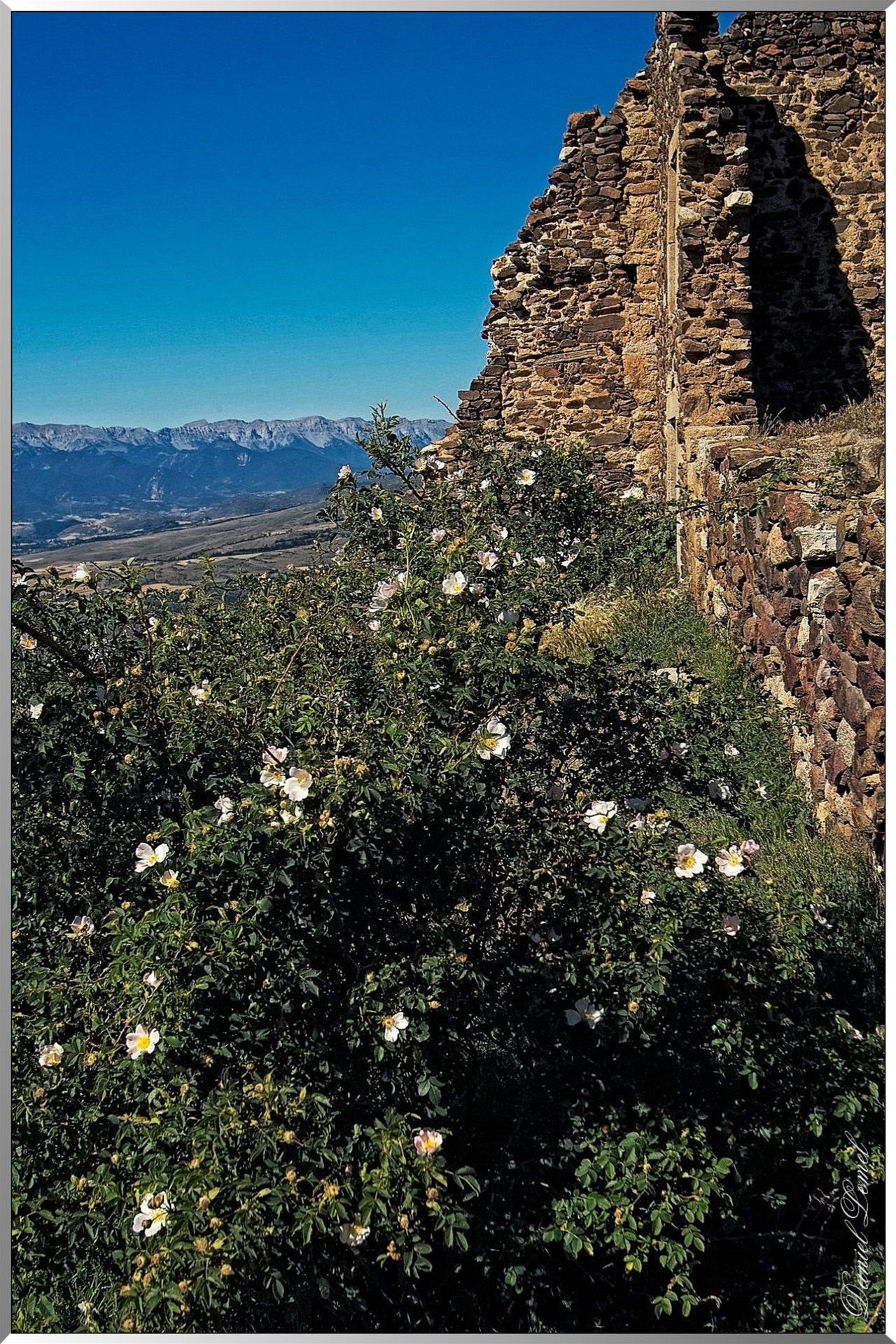 Vestiges de la chapelle