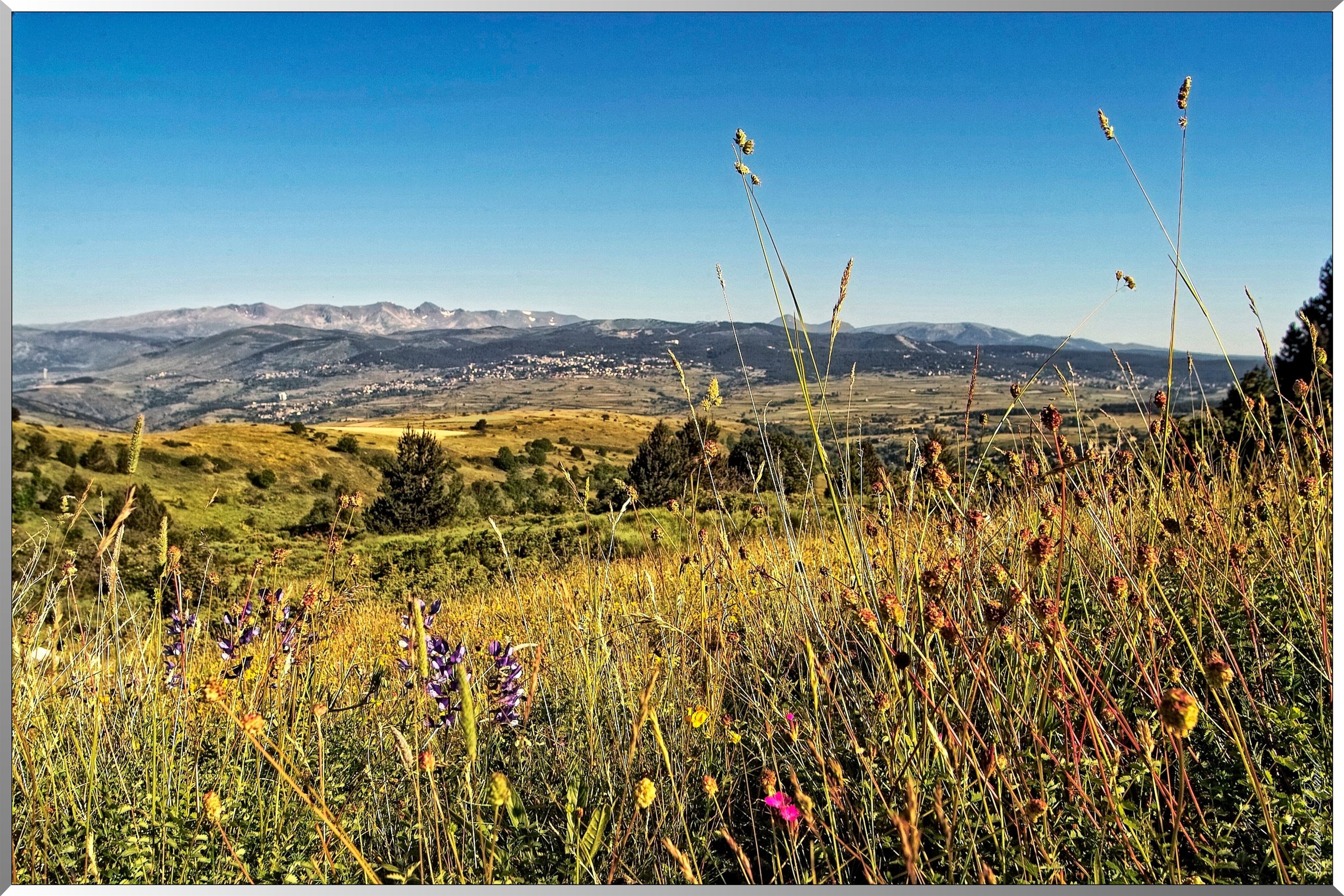 Réserve Naturelle de vallée d’Eyne - Vue sur la Cerdagne