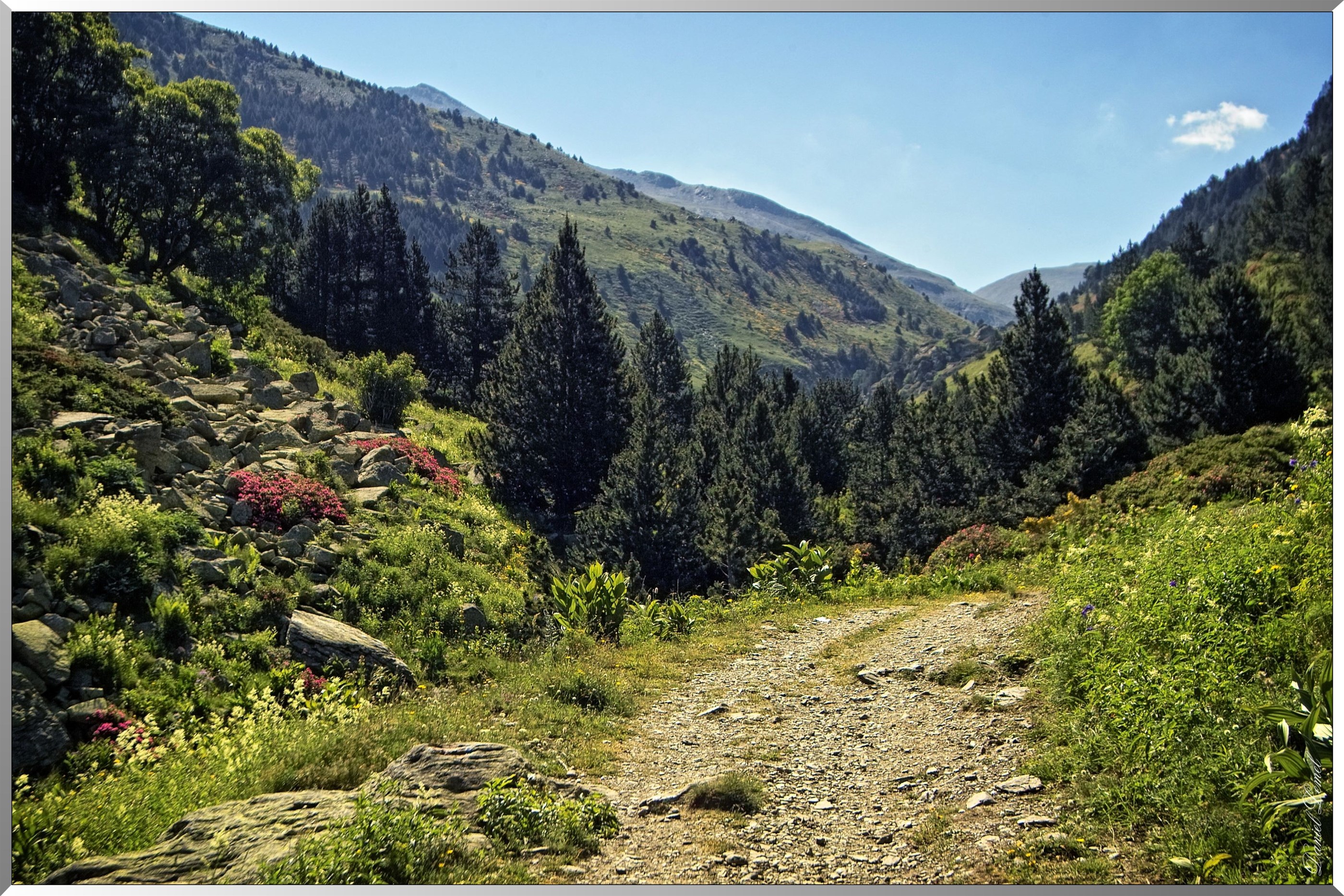 Réserve Naturelle de vallée d’Eyne - Chemin