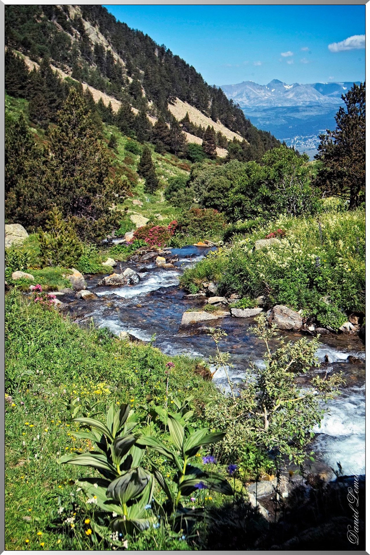 Réserve Naturelle de vallée d’Eyne - Torrent