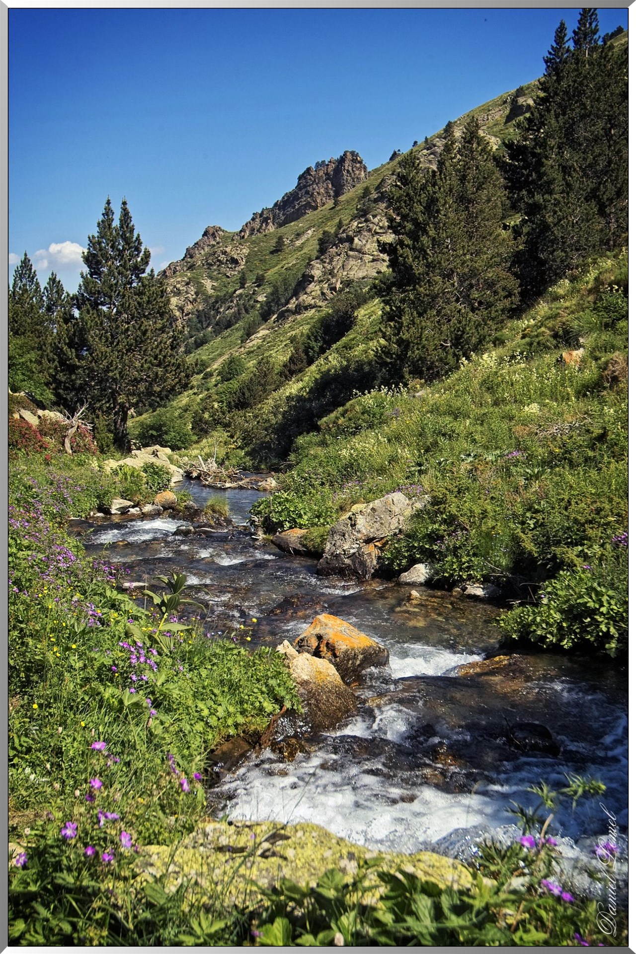 Réserve Naturelle de vallée d’Eyne - Torrent