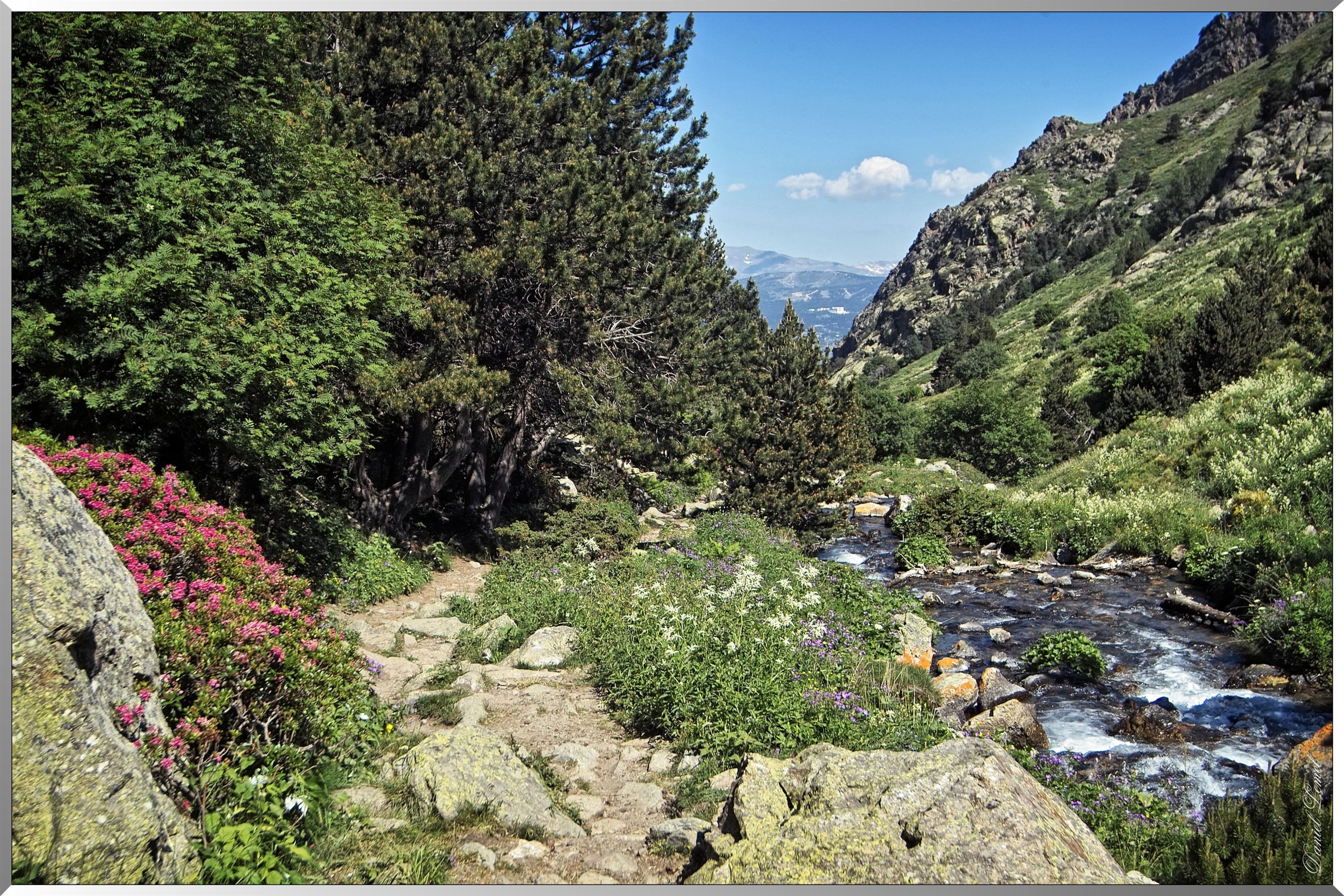 Réserve Naturelle de vallée d’Eyne - Chemin et torrent