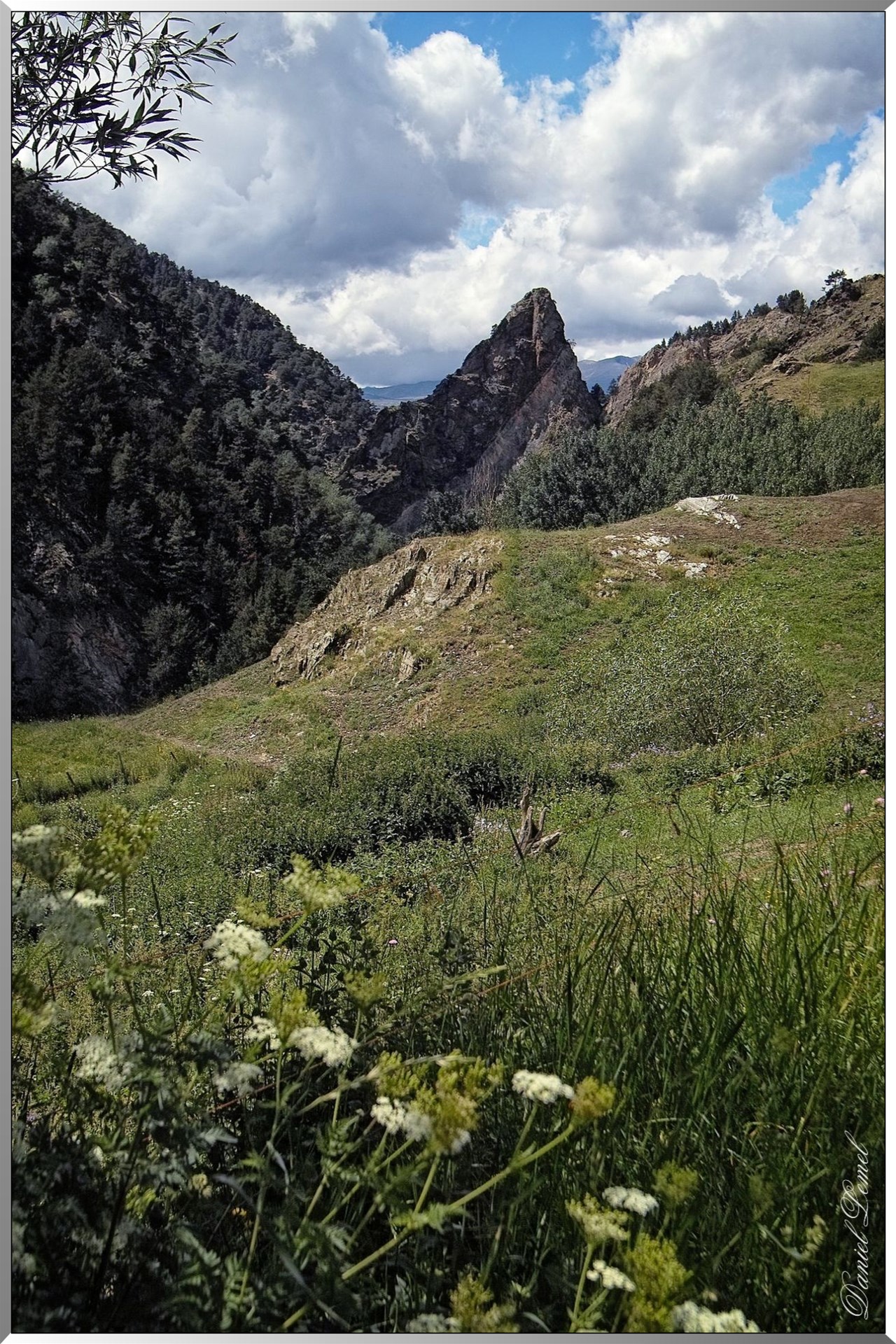 ruines de la chapelle