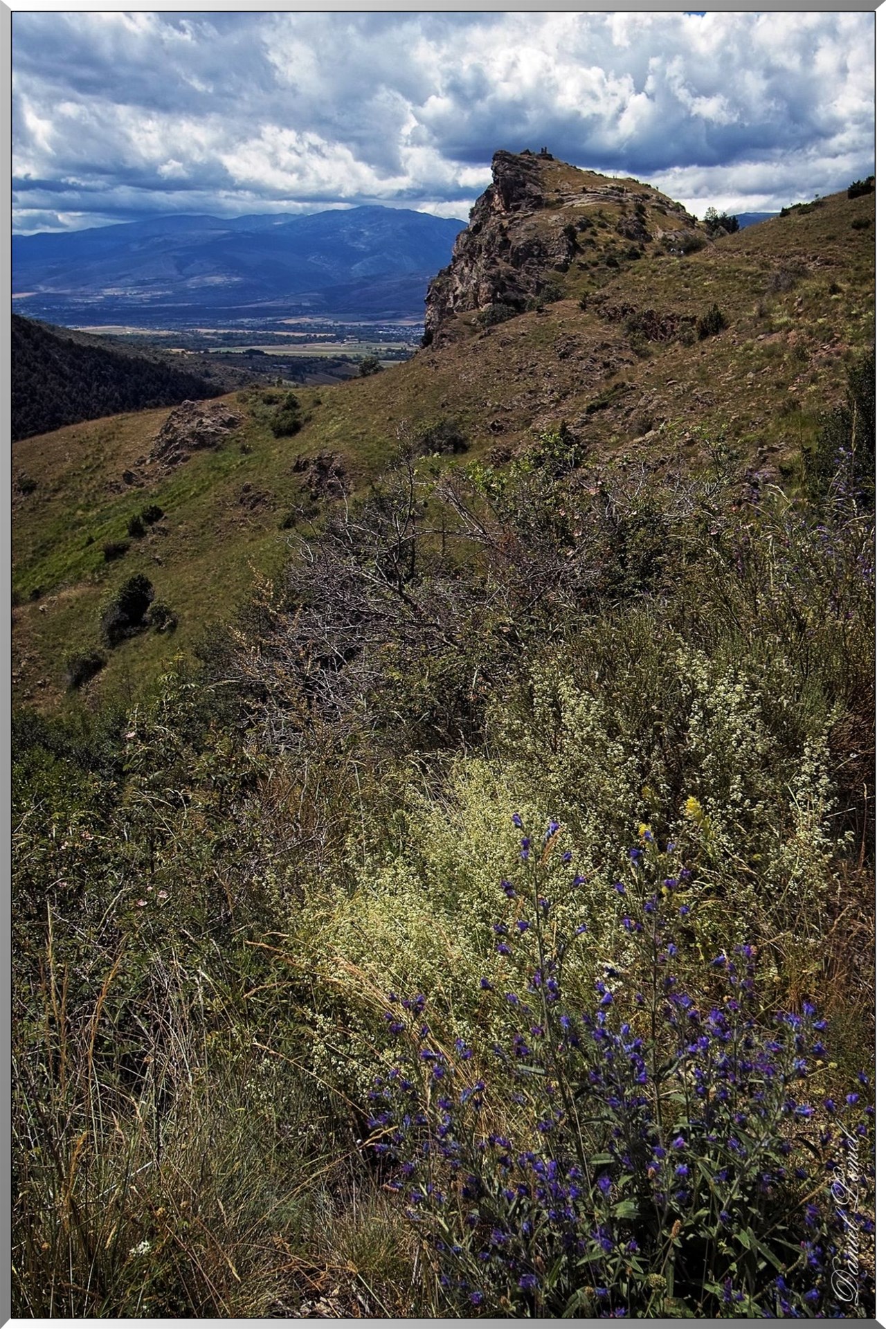 Ruines de la chapelle