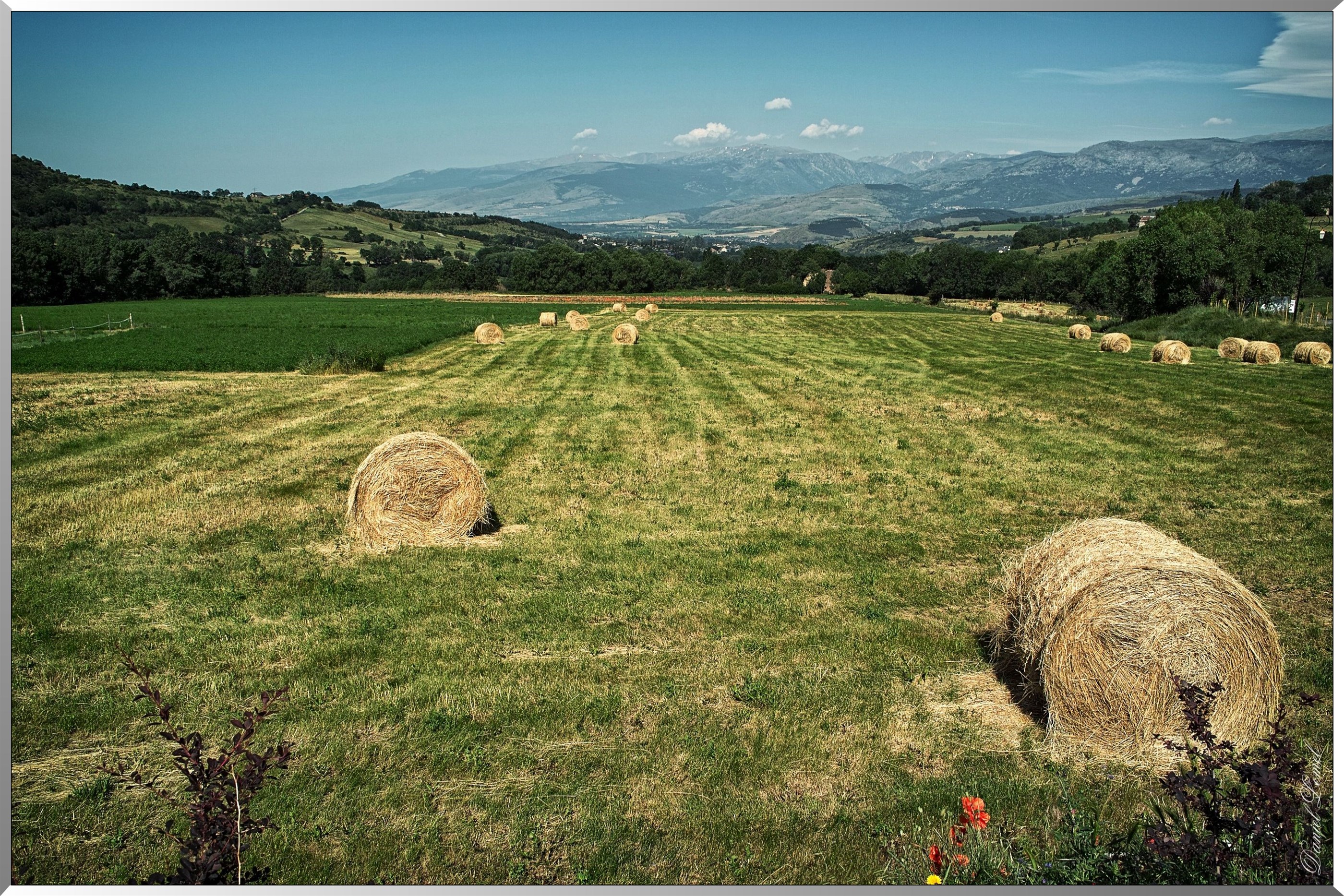 Ballots de foin - Vue sur la Cerdagne