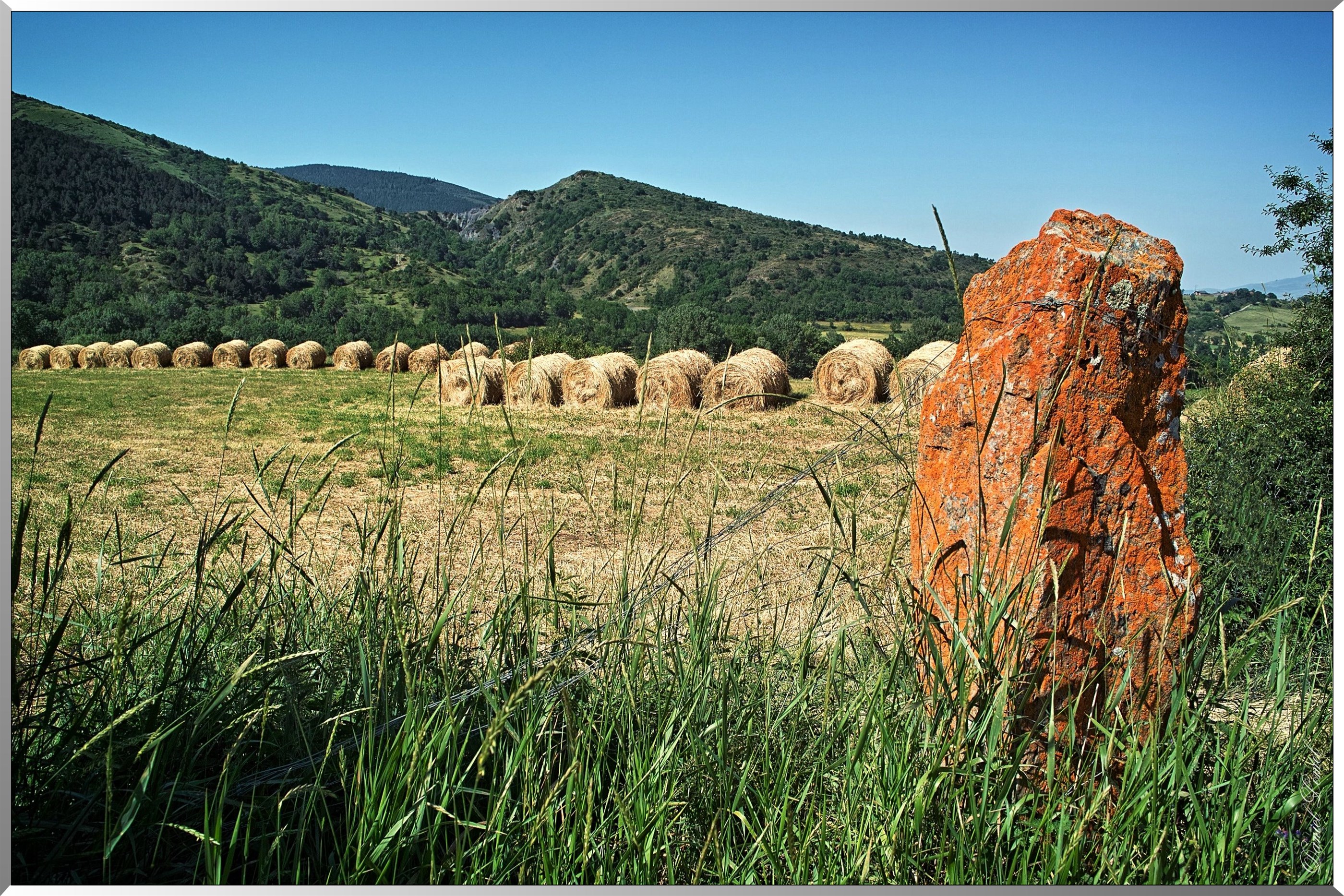 Ballots de foin - Pierre lichen