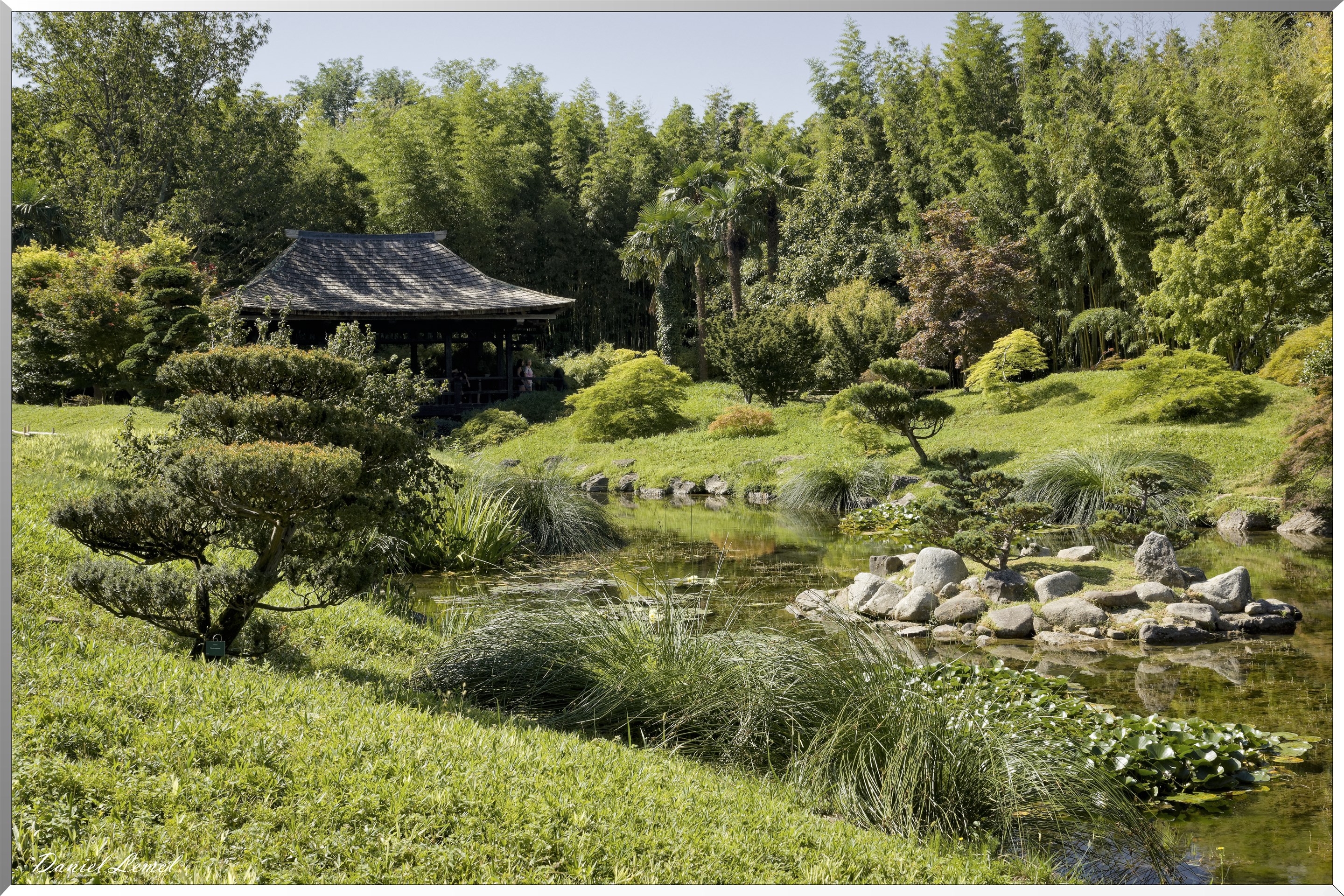 Le Pavillon asiatique