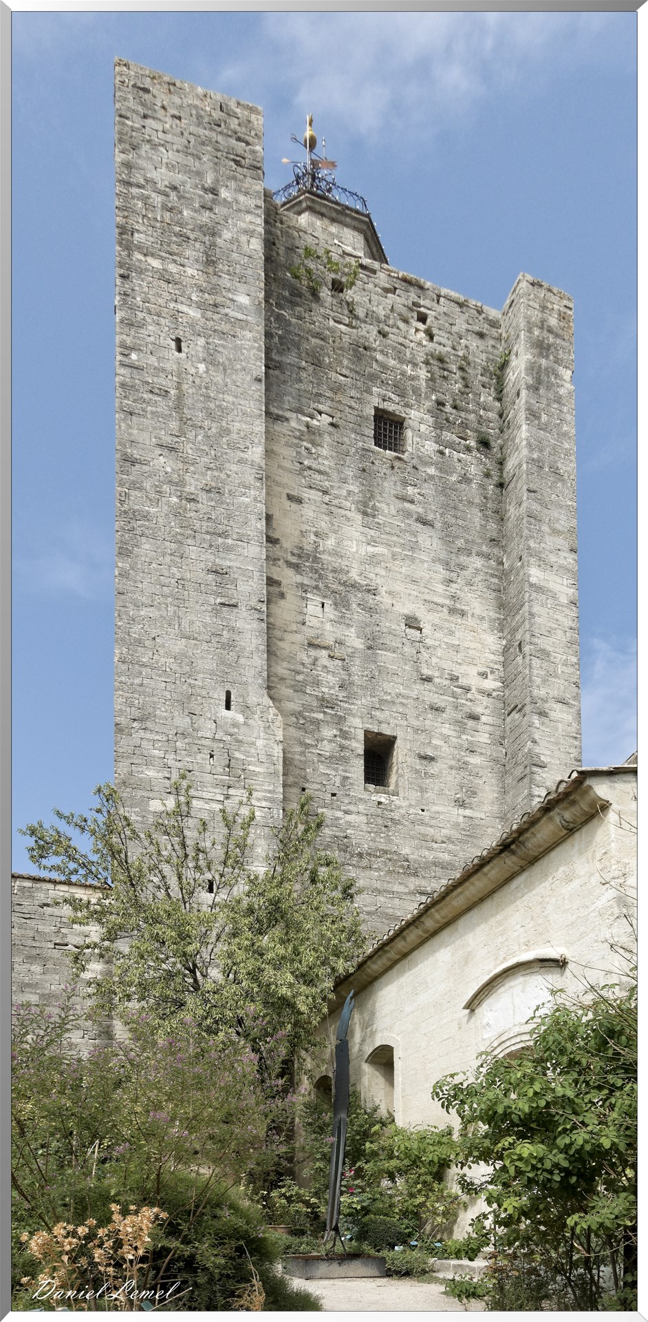 Le Jardin Médiéval - Tour du Roi