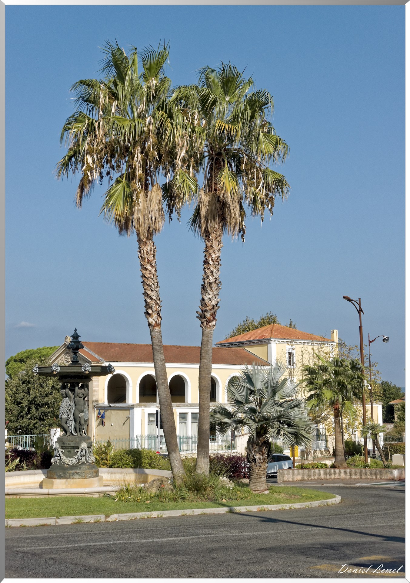 Fontaine et palmiers