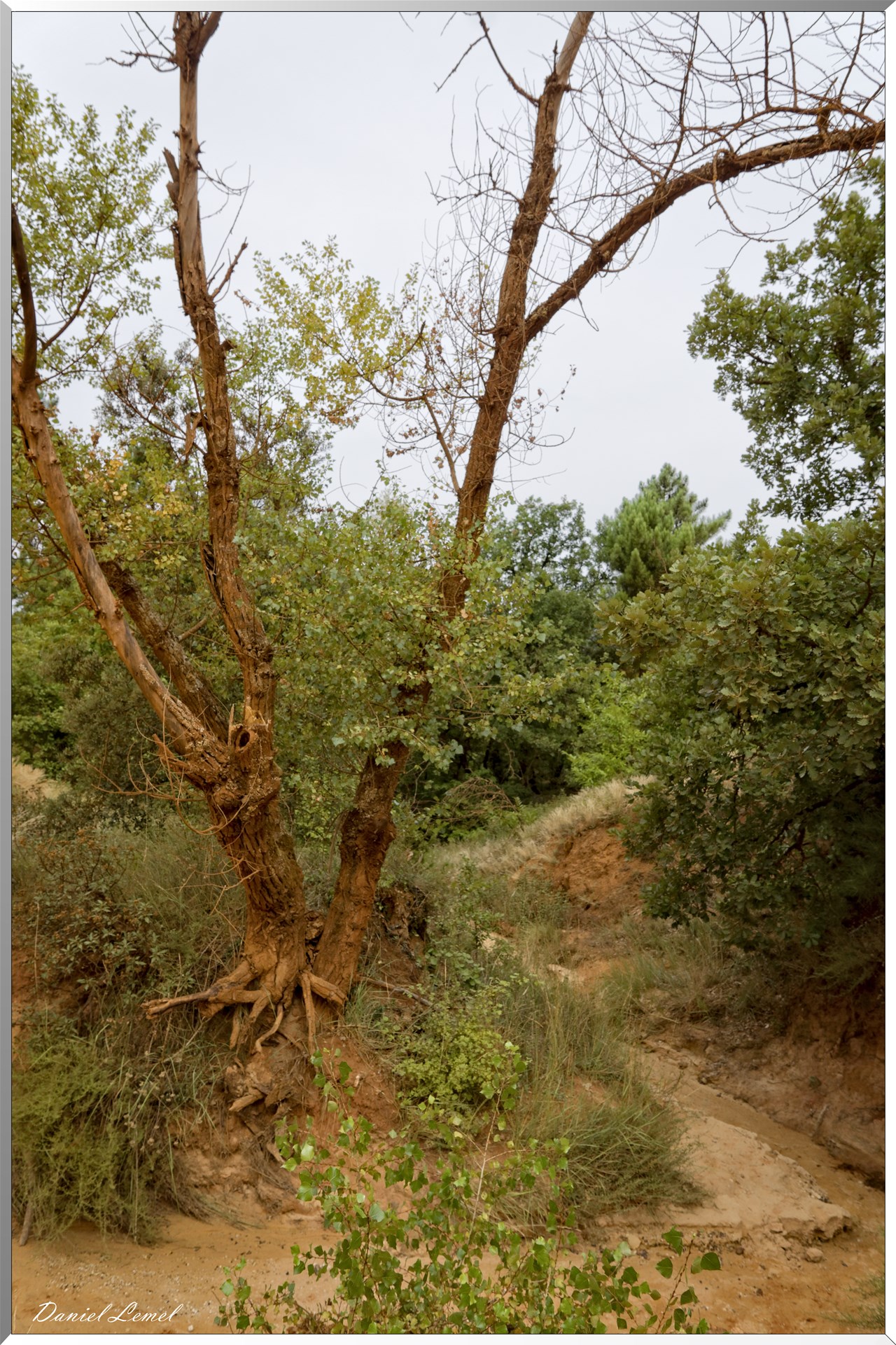 Le Colorado Provençal