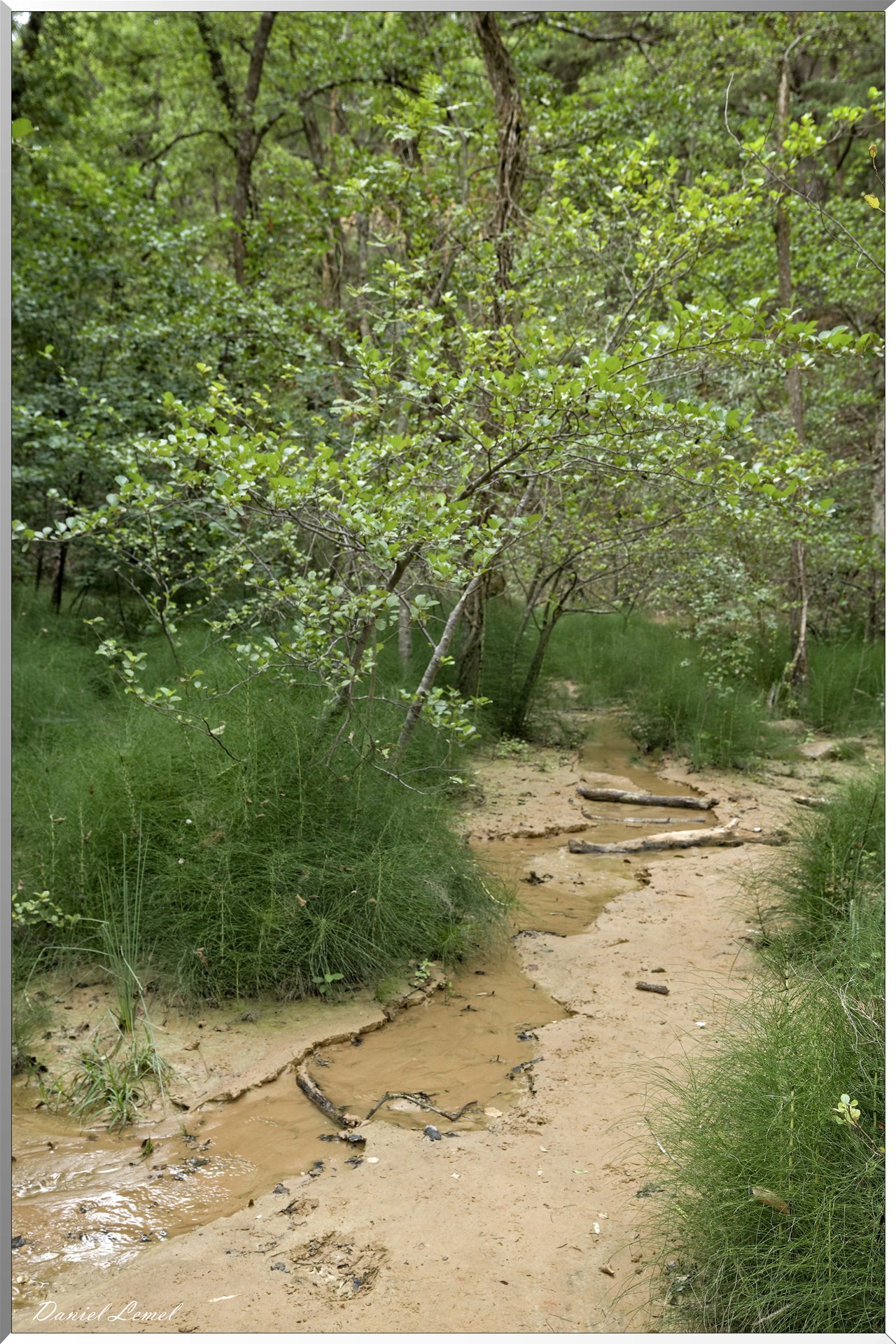 Le Colorado Provençal