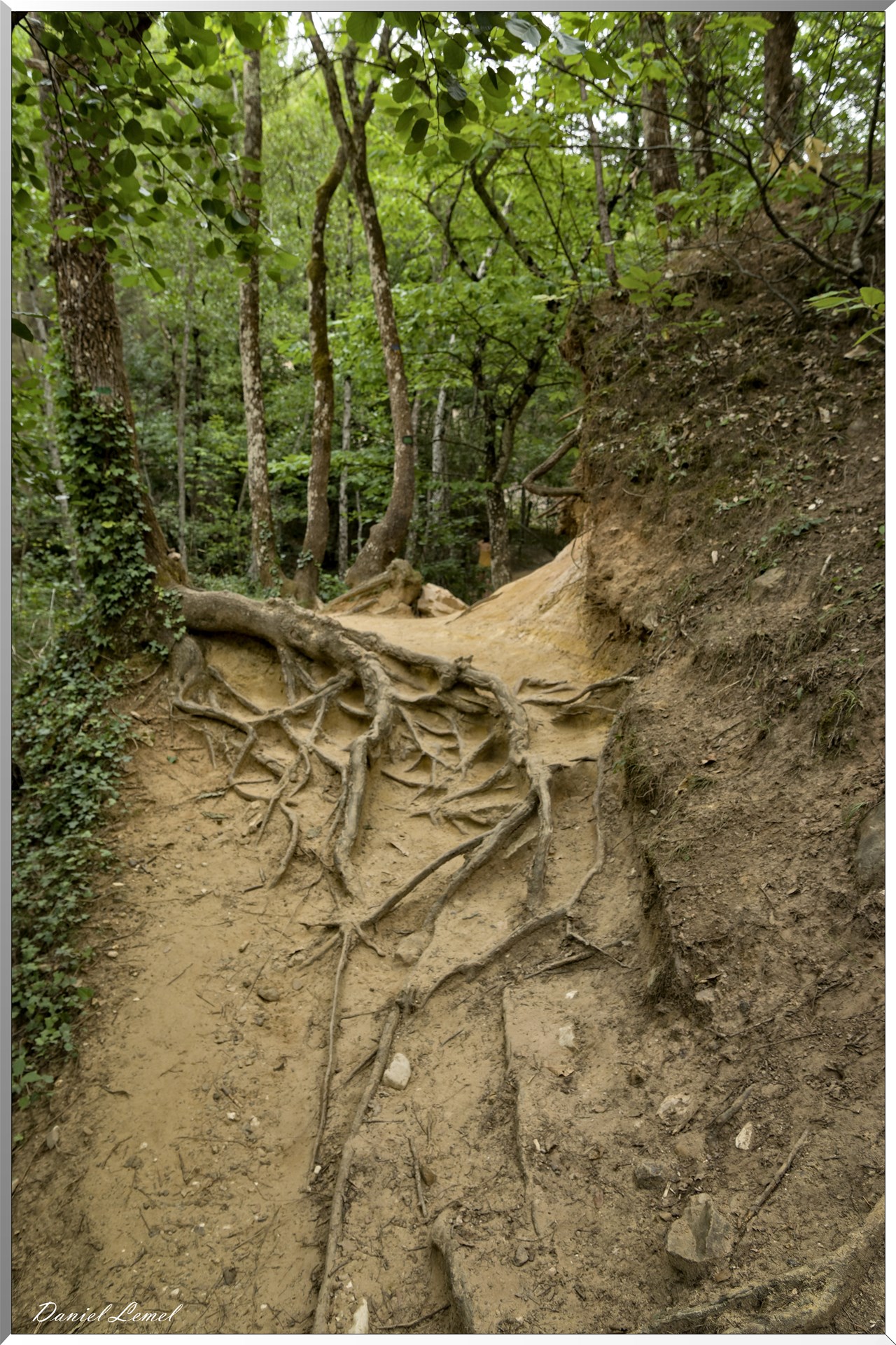 Le Colorado Provençal