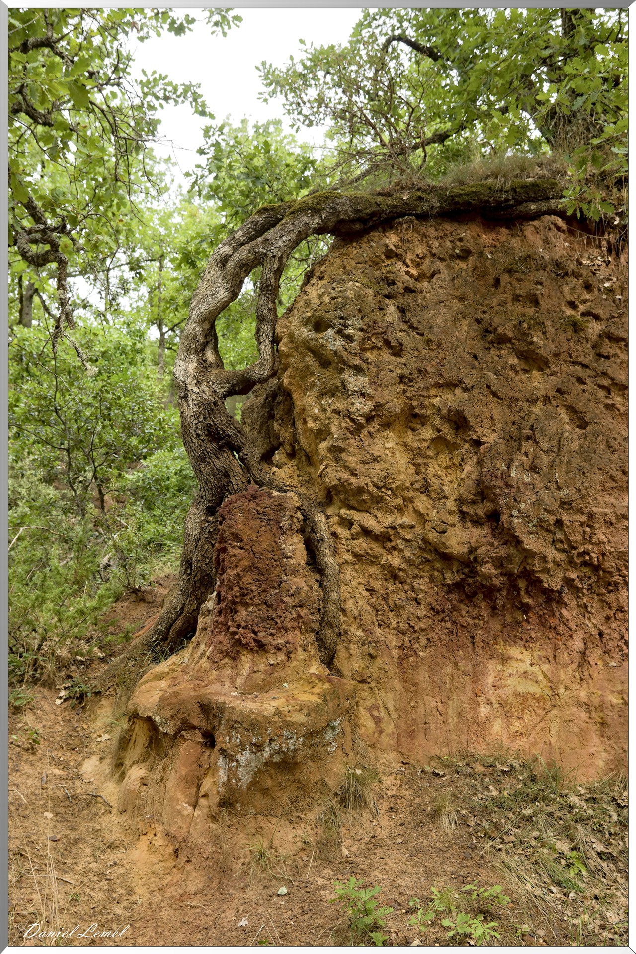Le Colorado Provençal