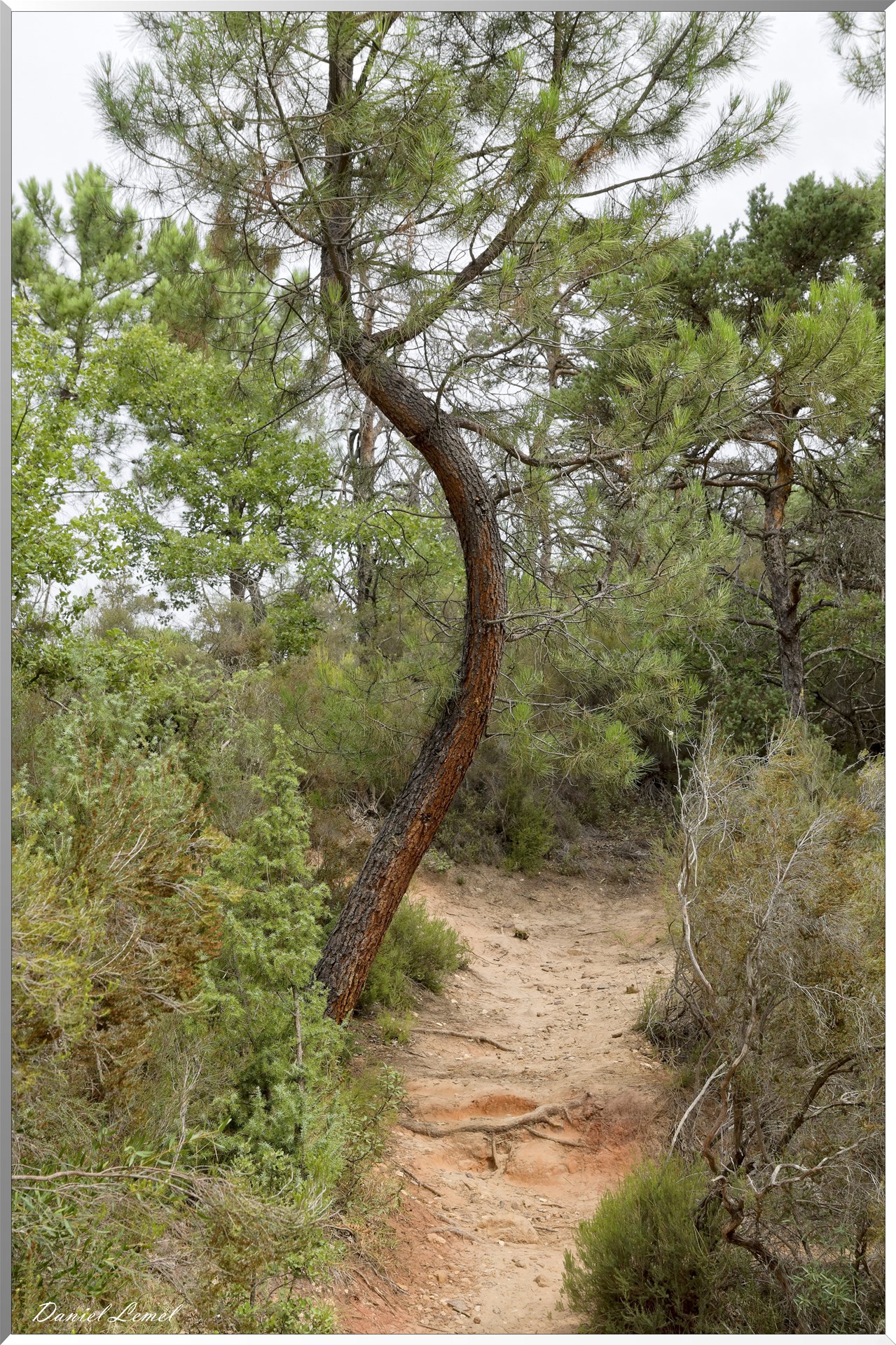 Le Colorado Provençal