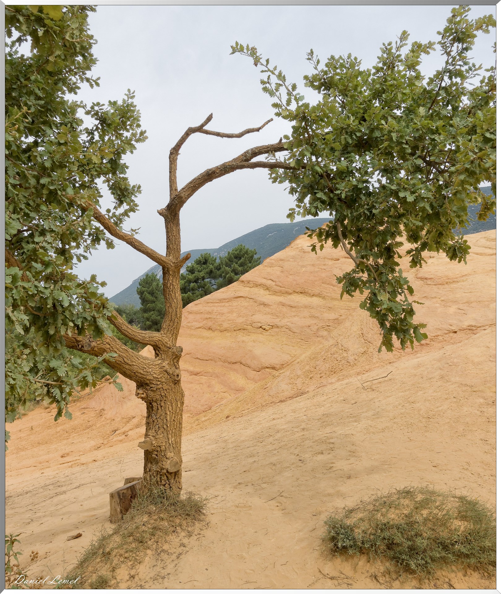 Le Colorado Provençal