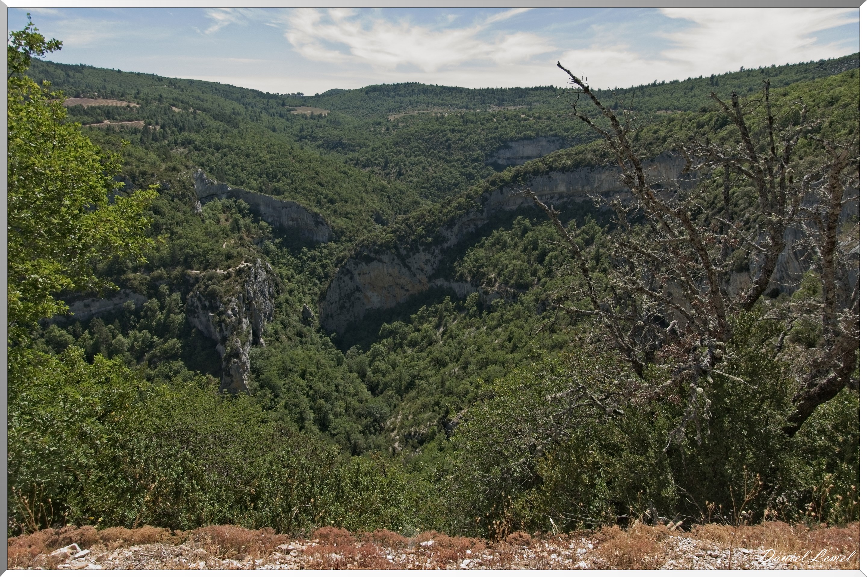 Gorges de la Nesque