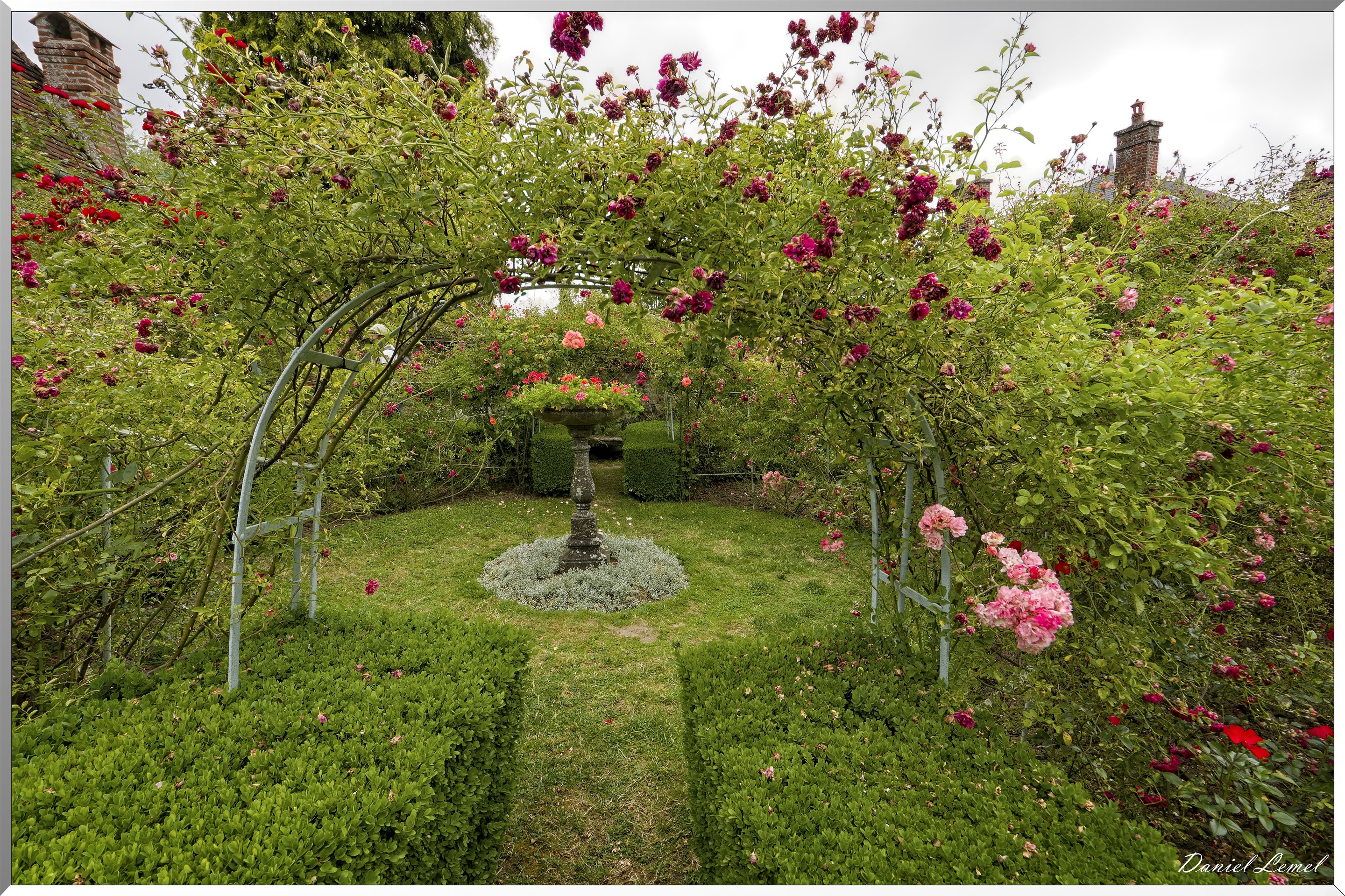 La roseraie