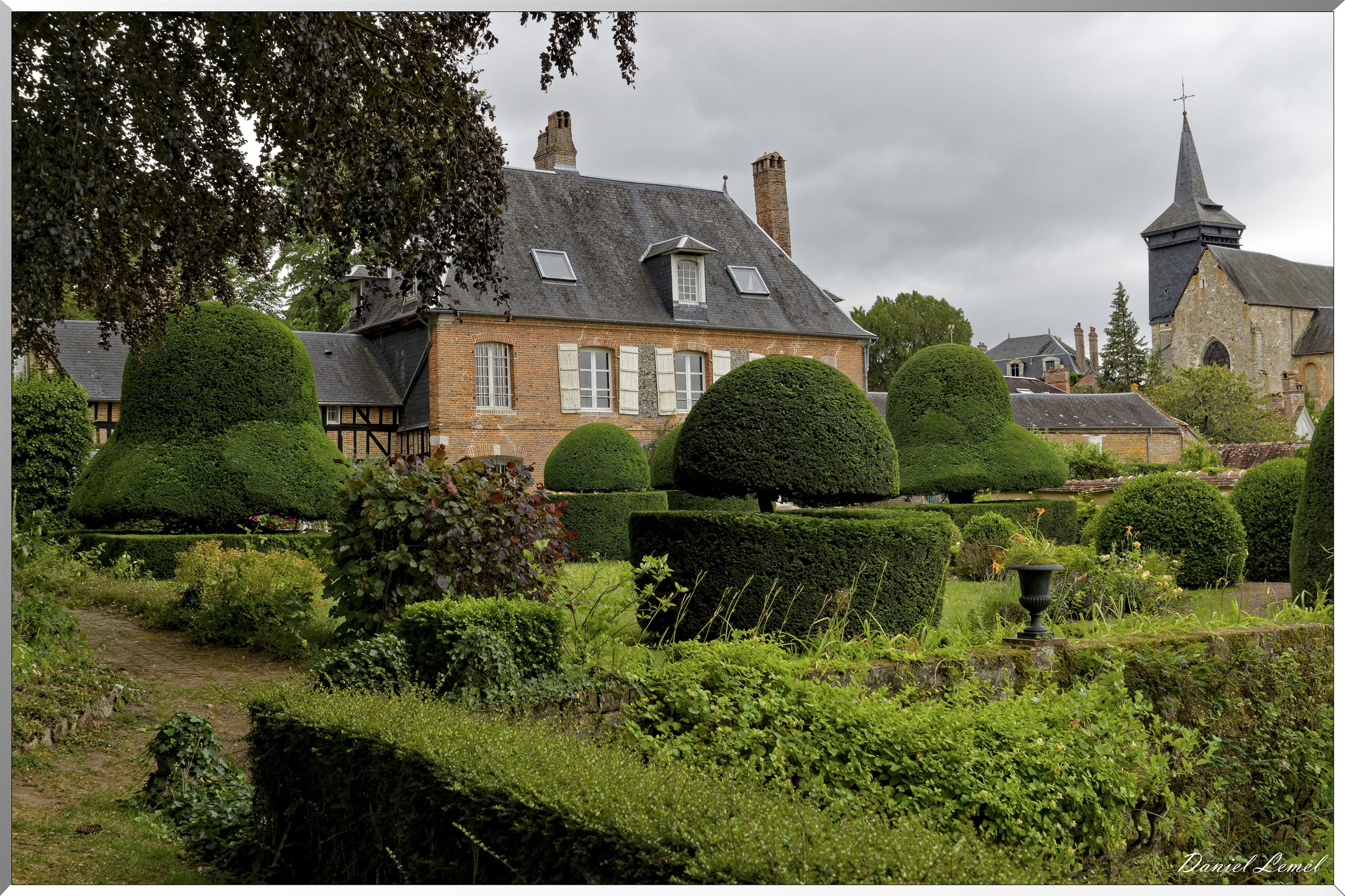 Ifs pluricentenaires