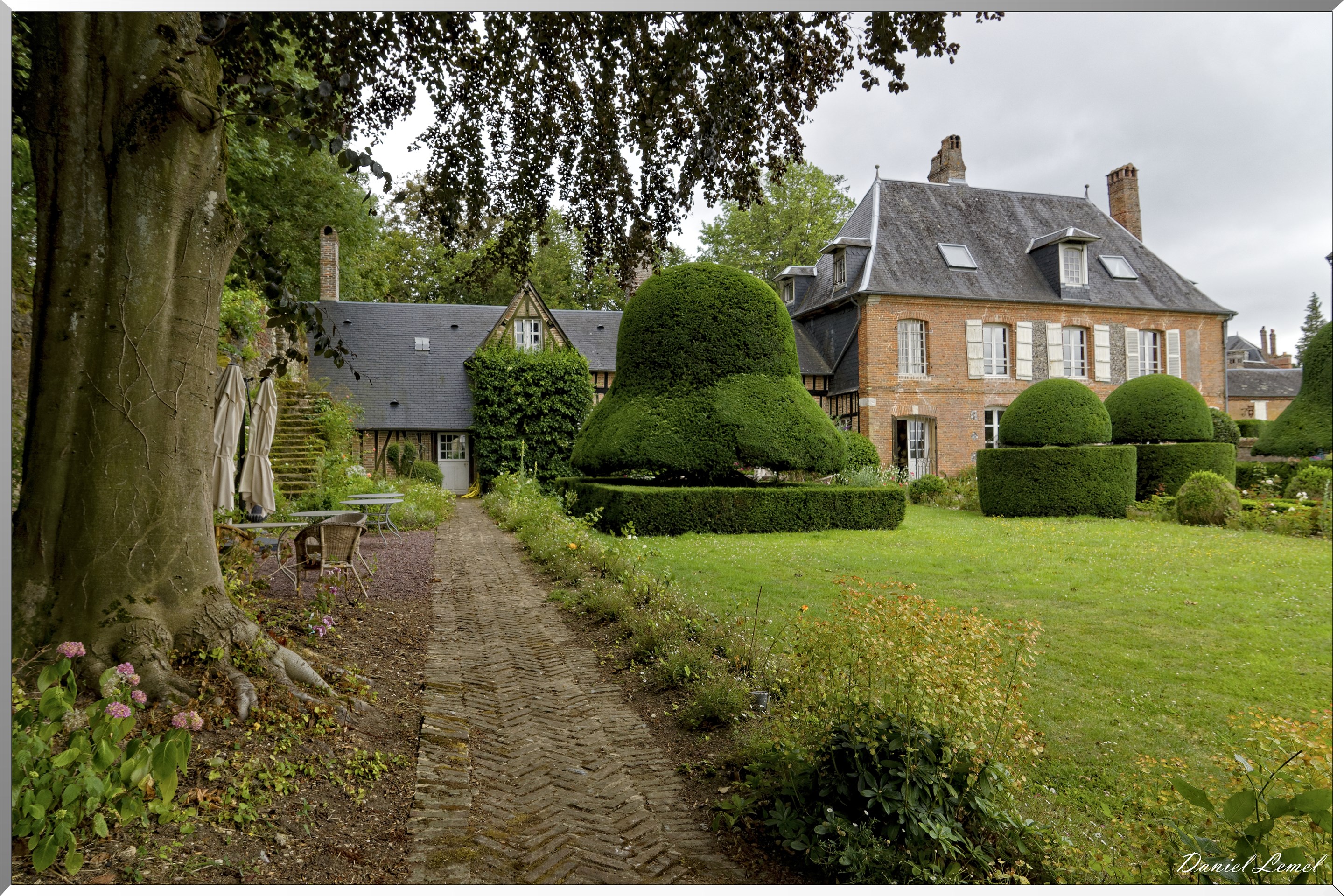 Ifs pluricentenaires