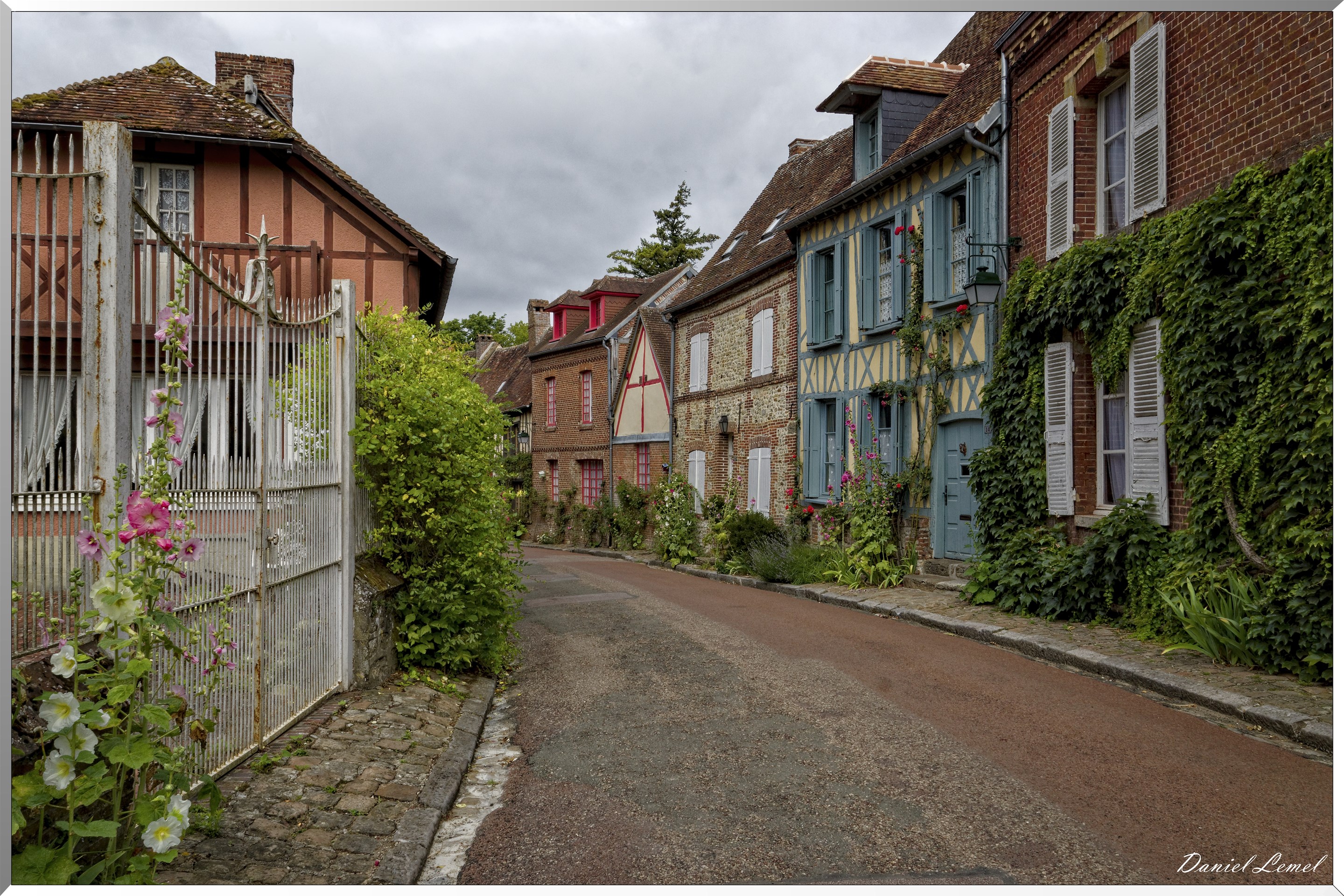 Rue