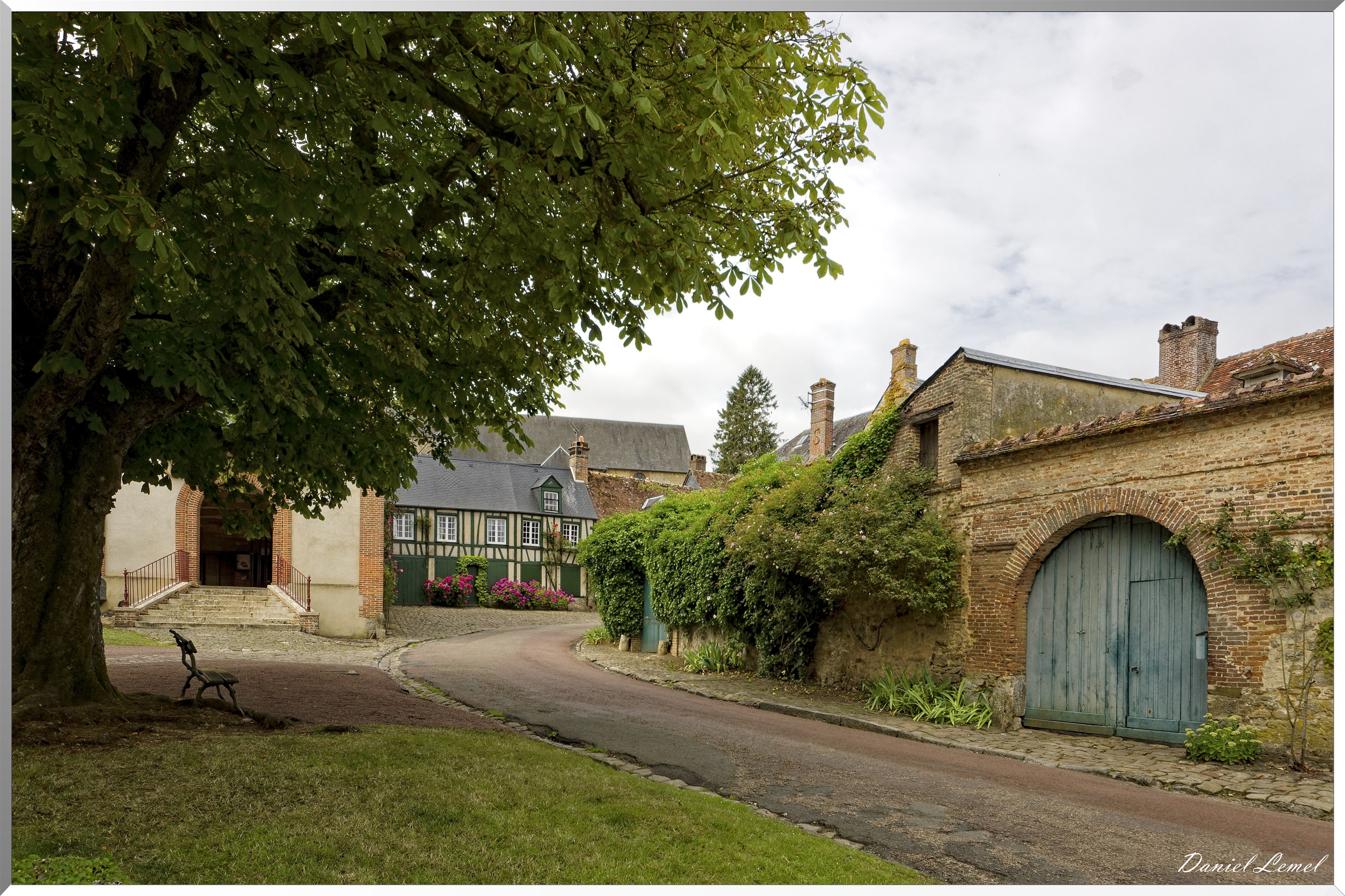 Rue