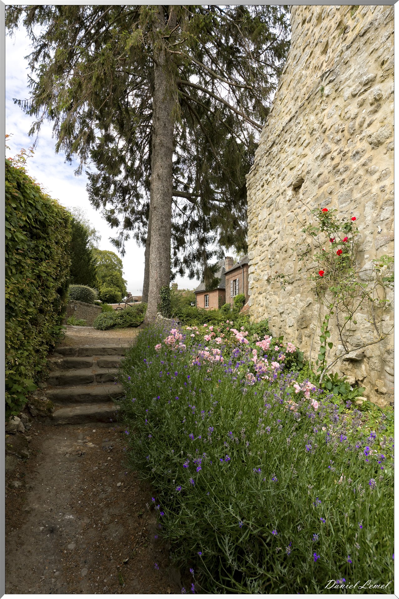 Allée