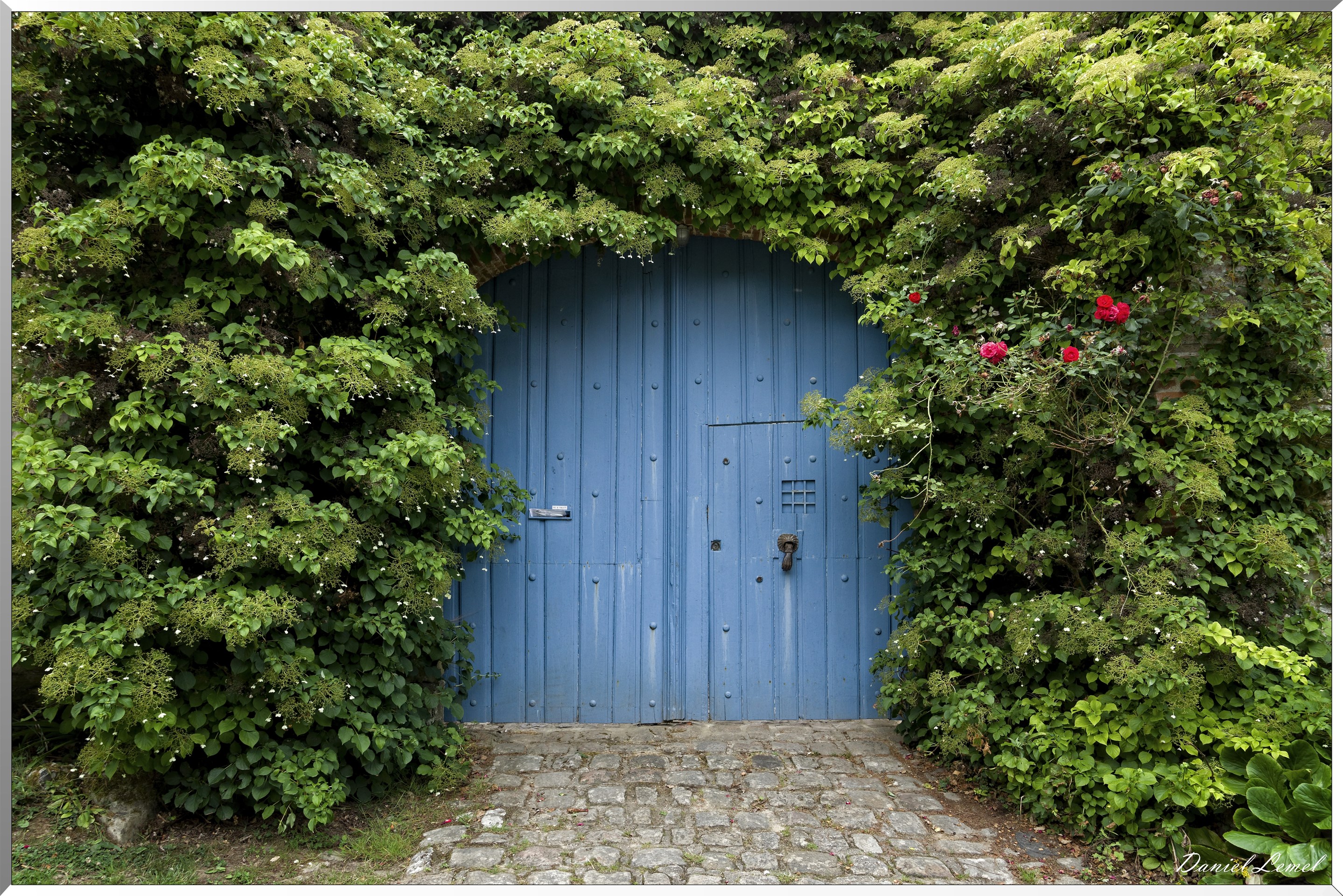 Porte