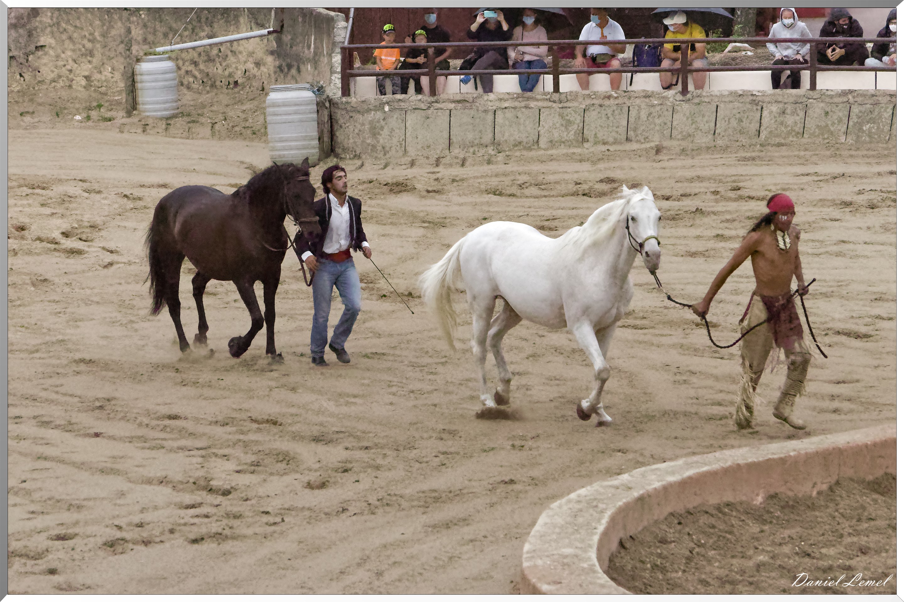 Le tournoi des 3 Nations