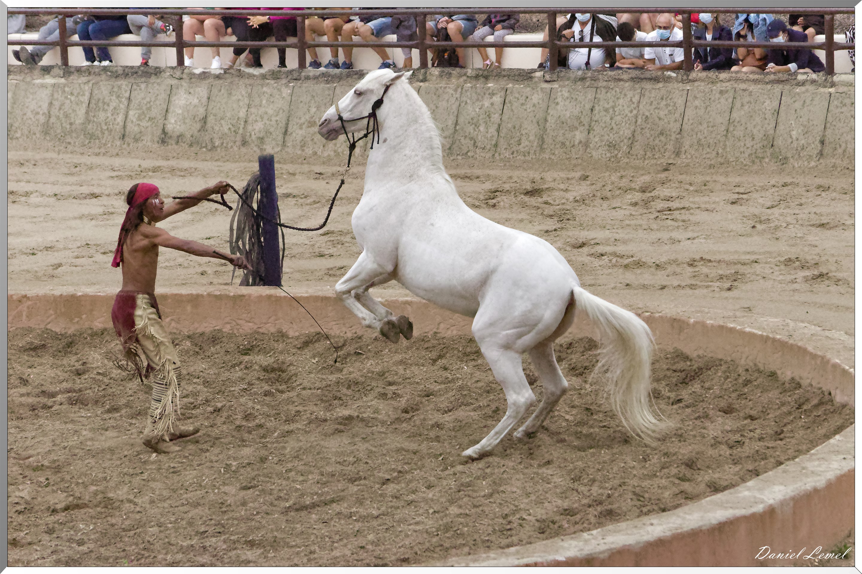 Le tournoi des 3 Nations