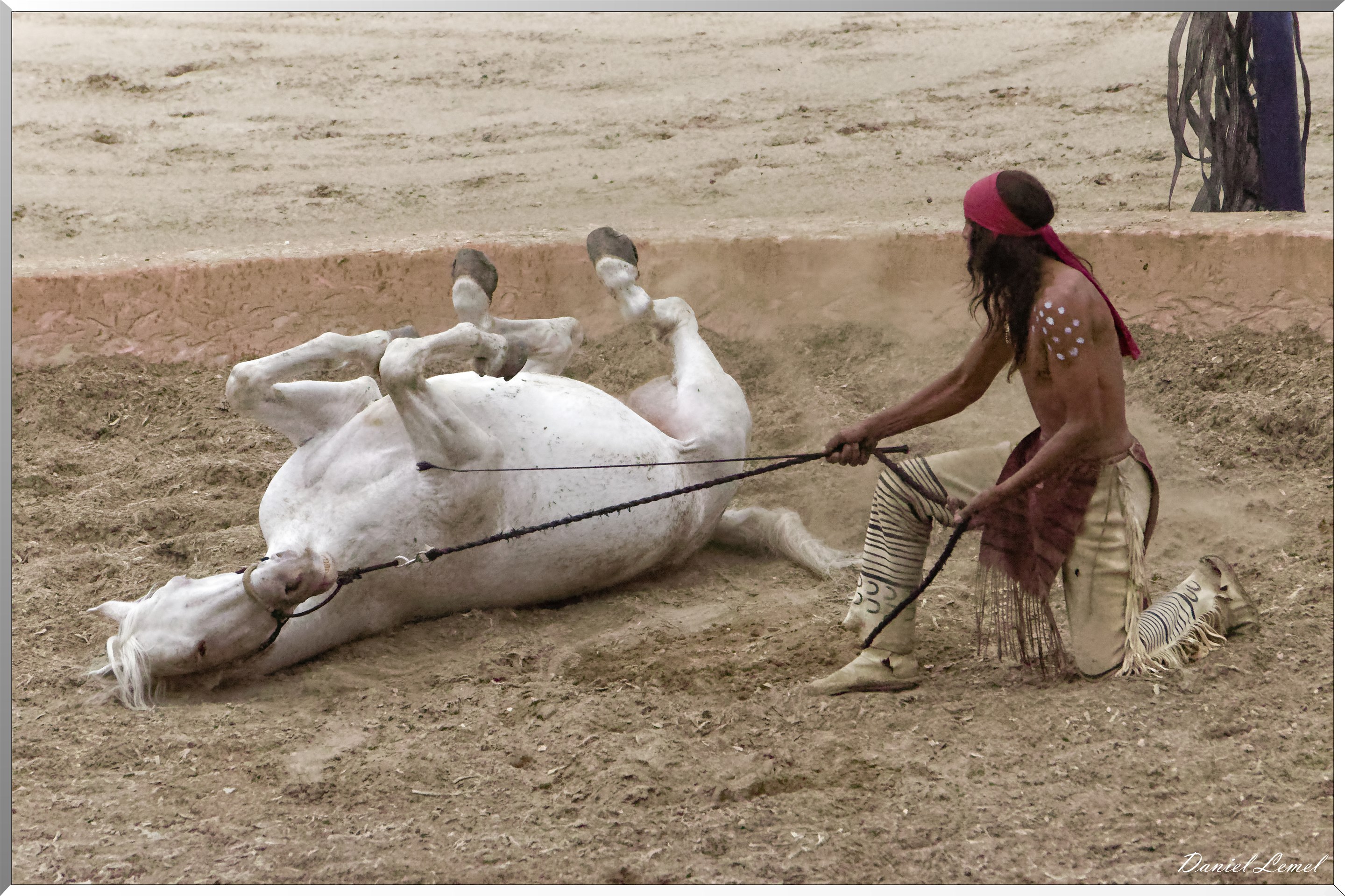 Le tournoi des 3 Nations