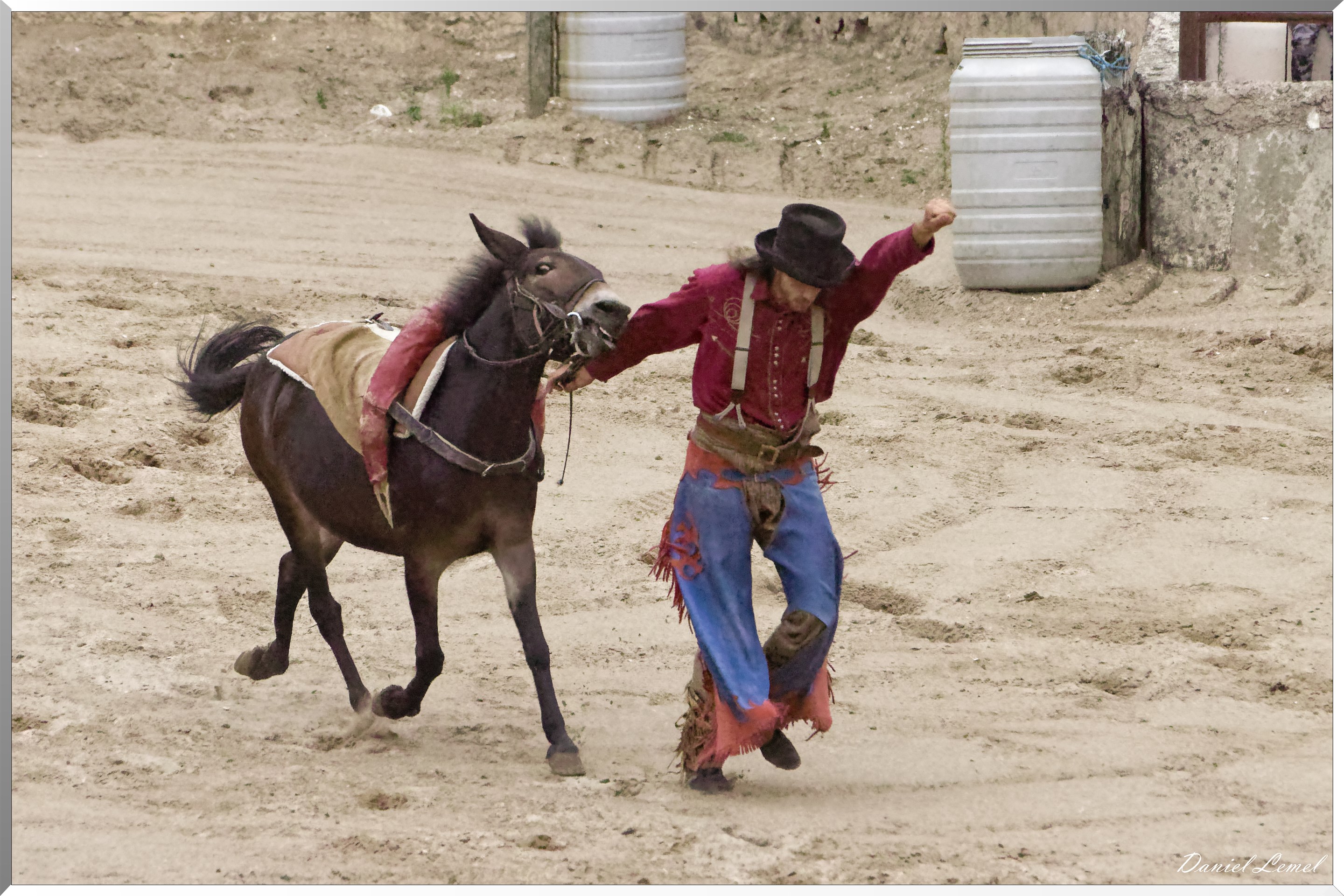 Le tournoi des 3 Nations