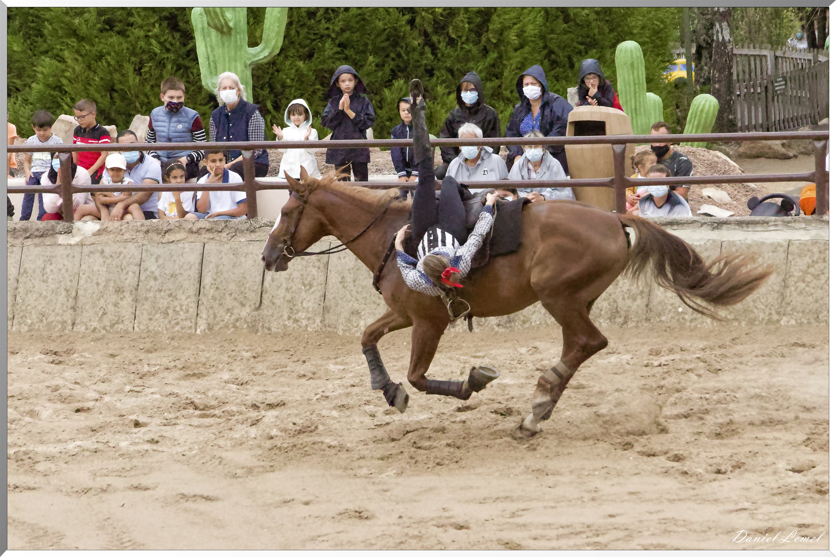 Le tournoi des 3 Nations