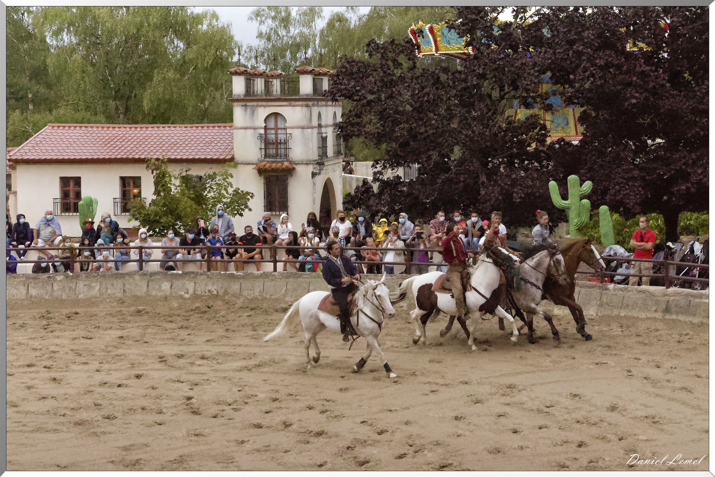 Le tournoi des 3 Nations