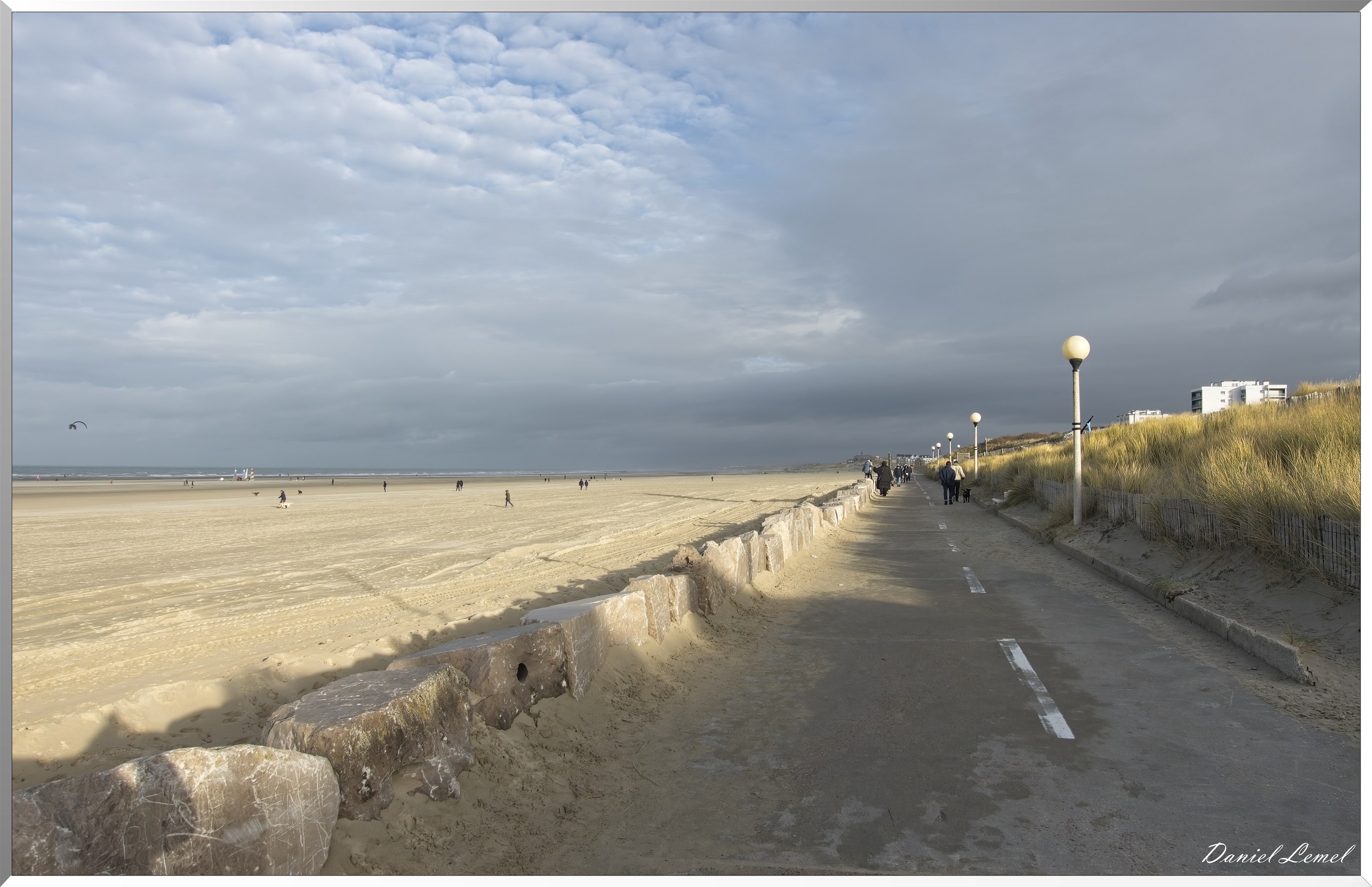 Promenade de Berck aux sternes