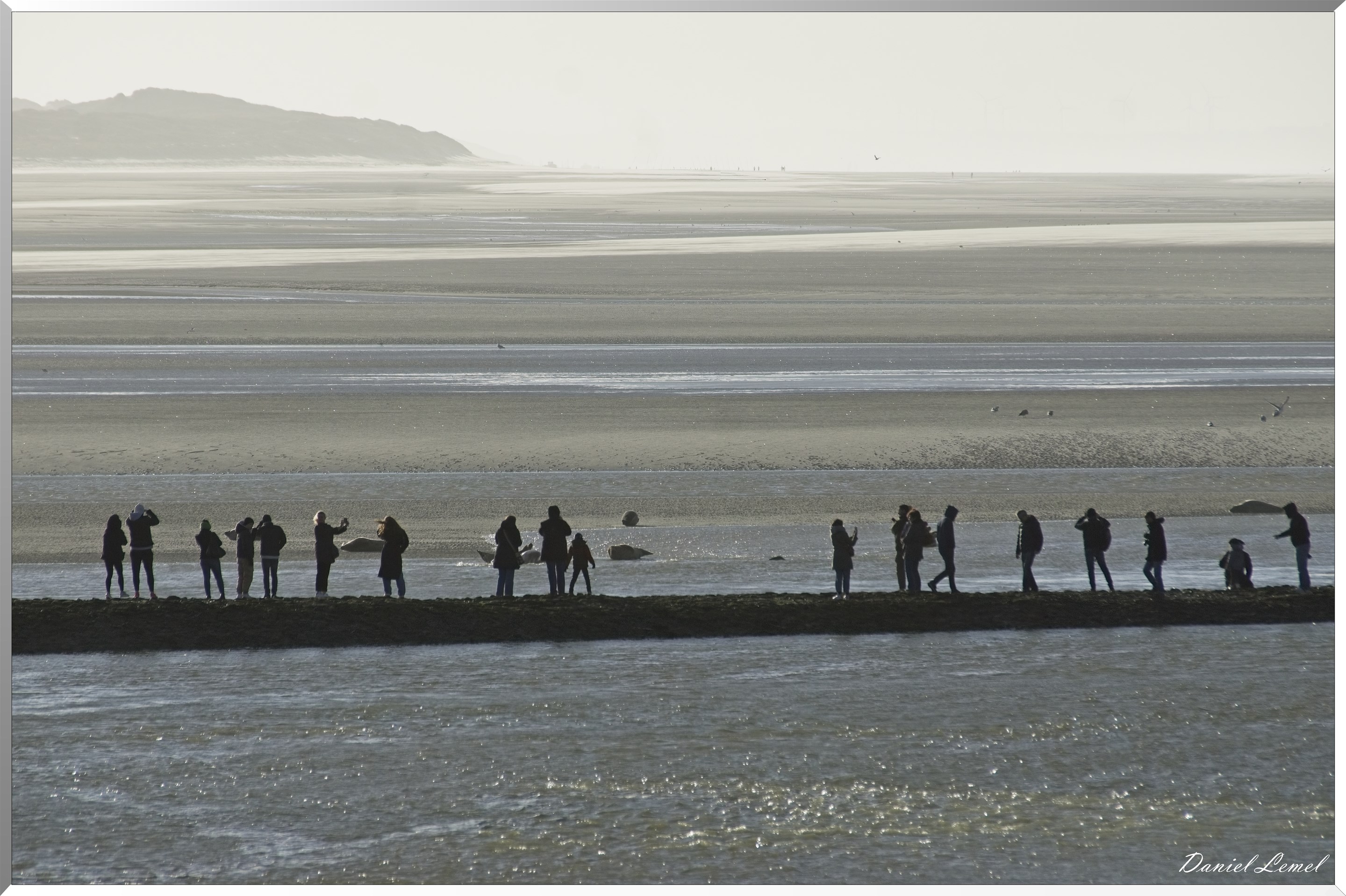 La plage des phoques