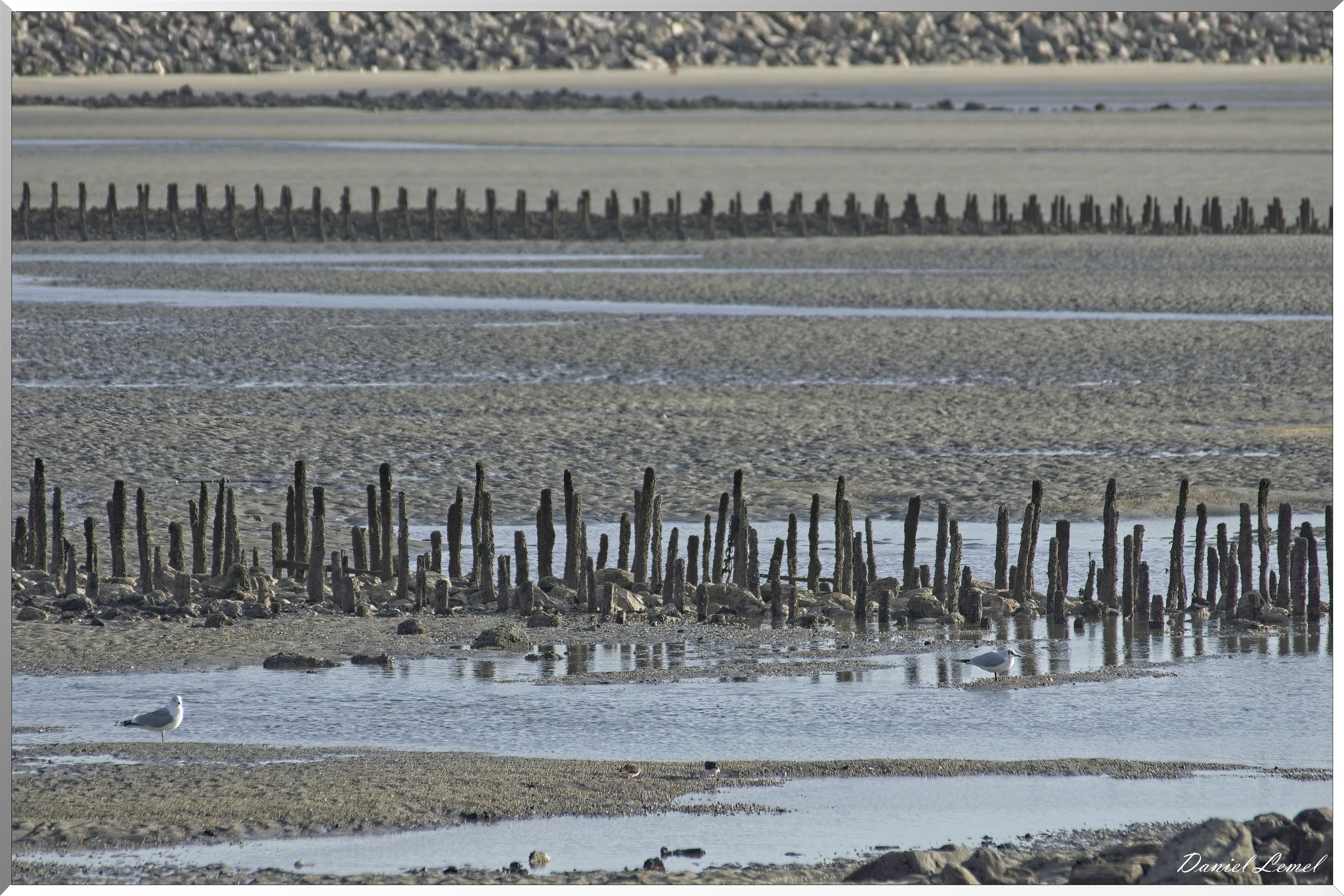 Parc à moules Bouchots