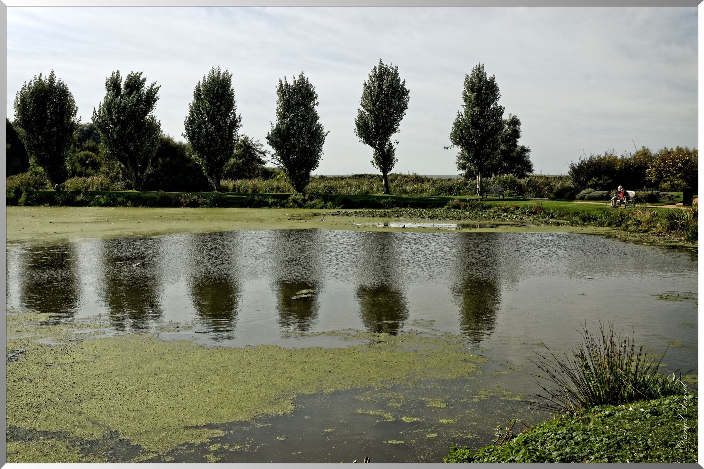 Jardin des personnalités