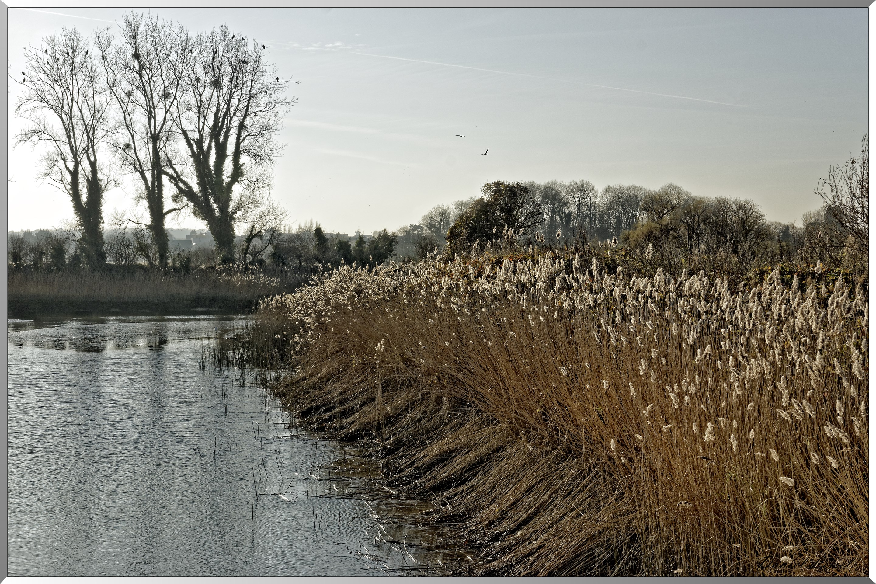 Courseulles