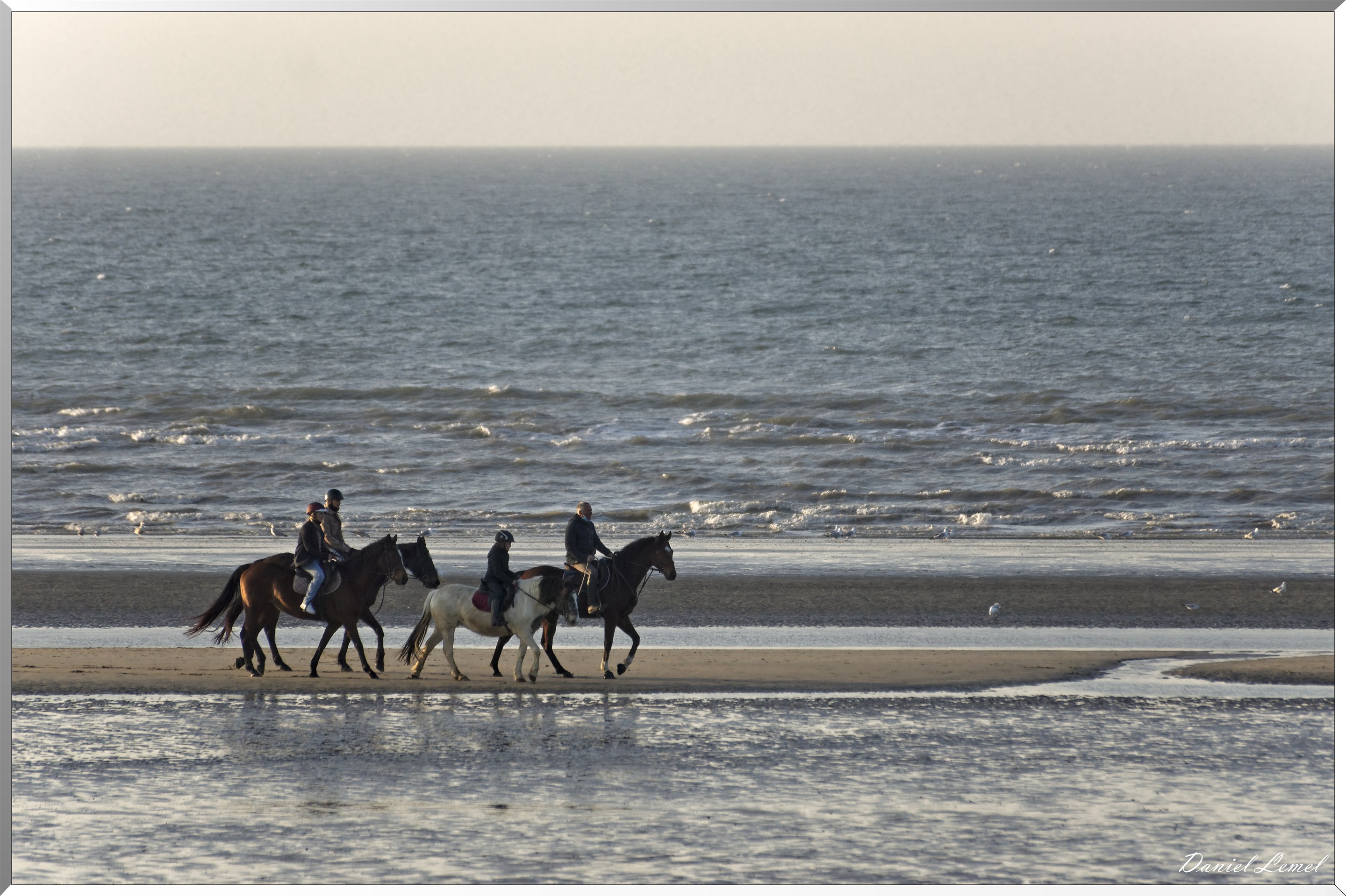 Promenade équestre au bord de la mer