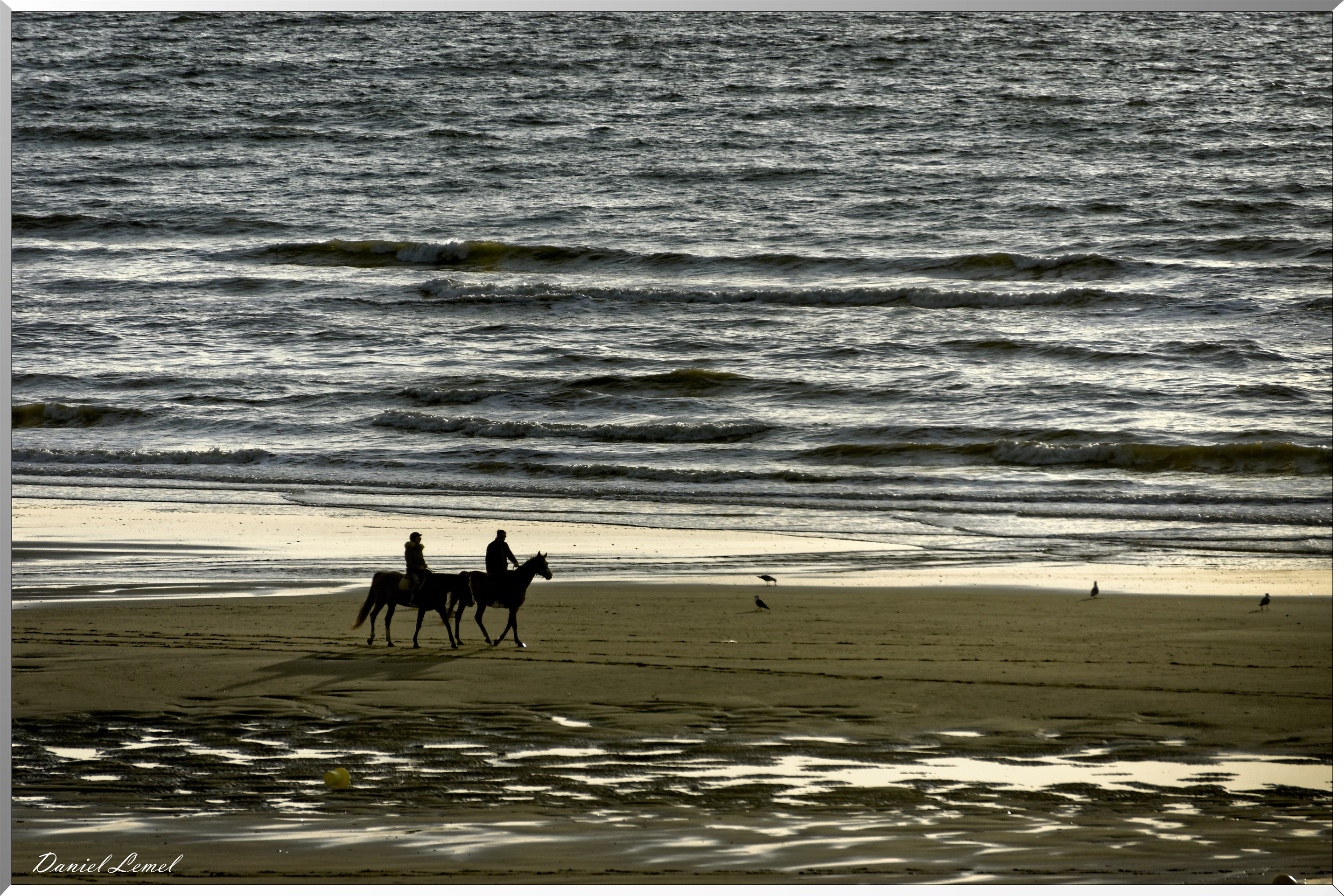Promenade équestre au bord de la mer