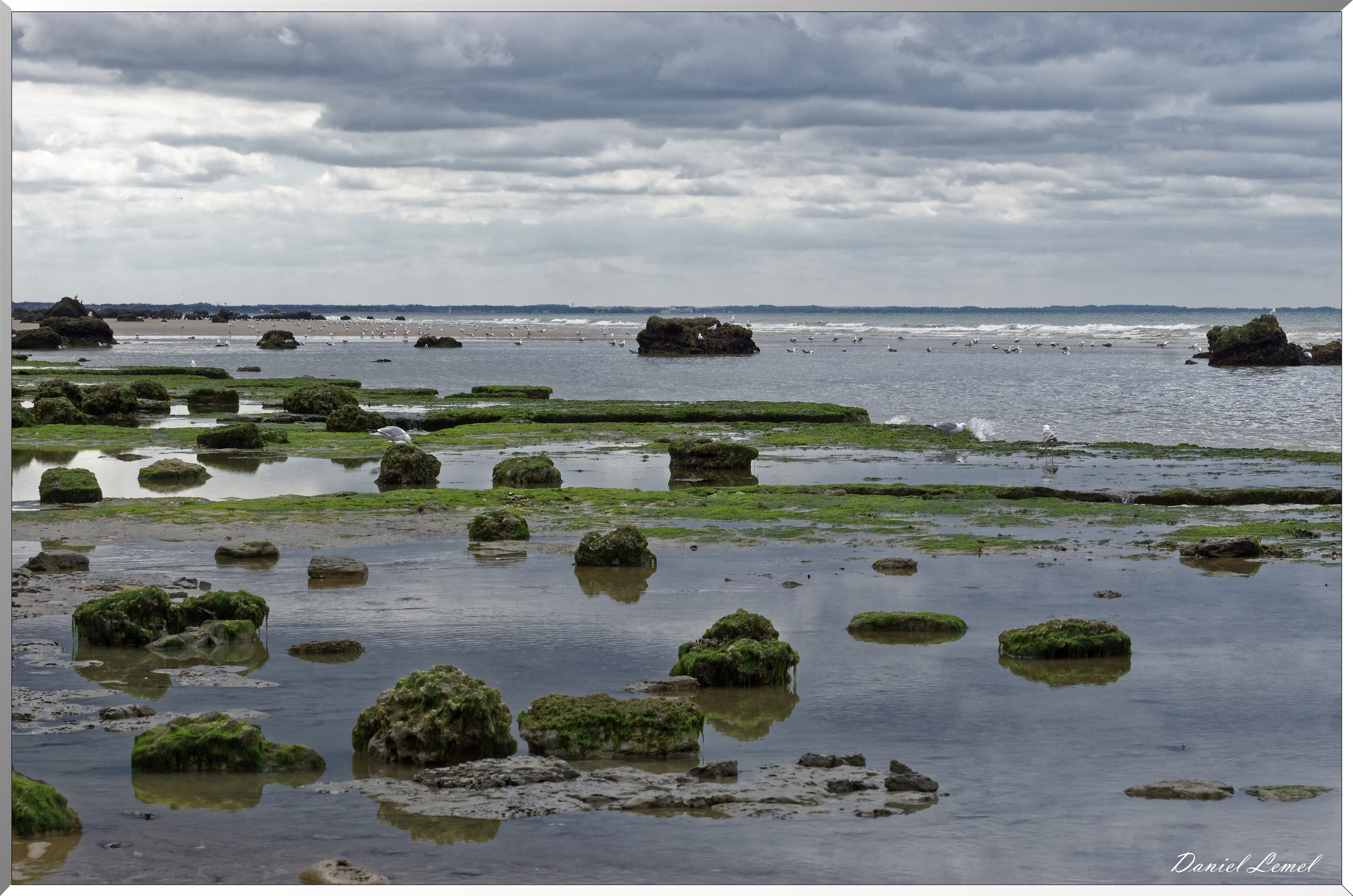 Rochers du côté des falaises