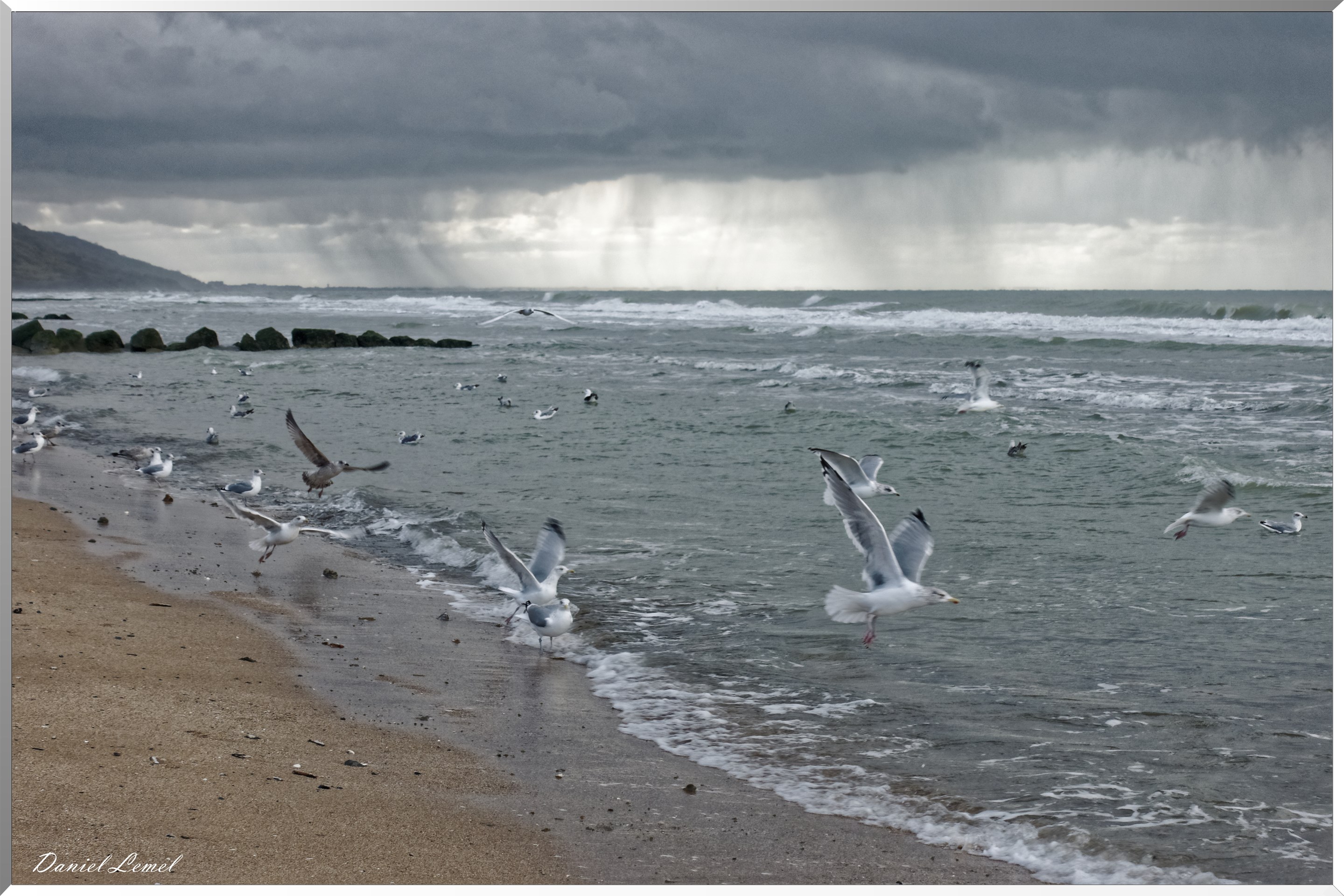 Une journée bien agitée