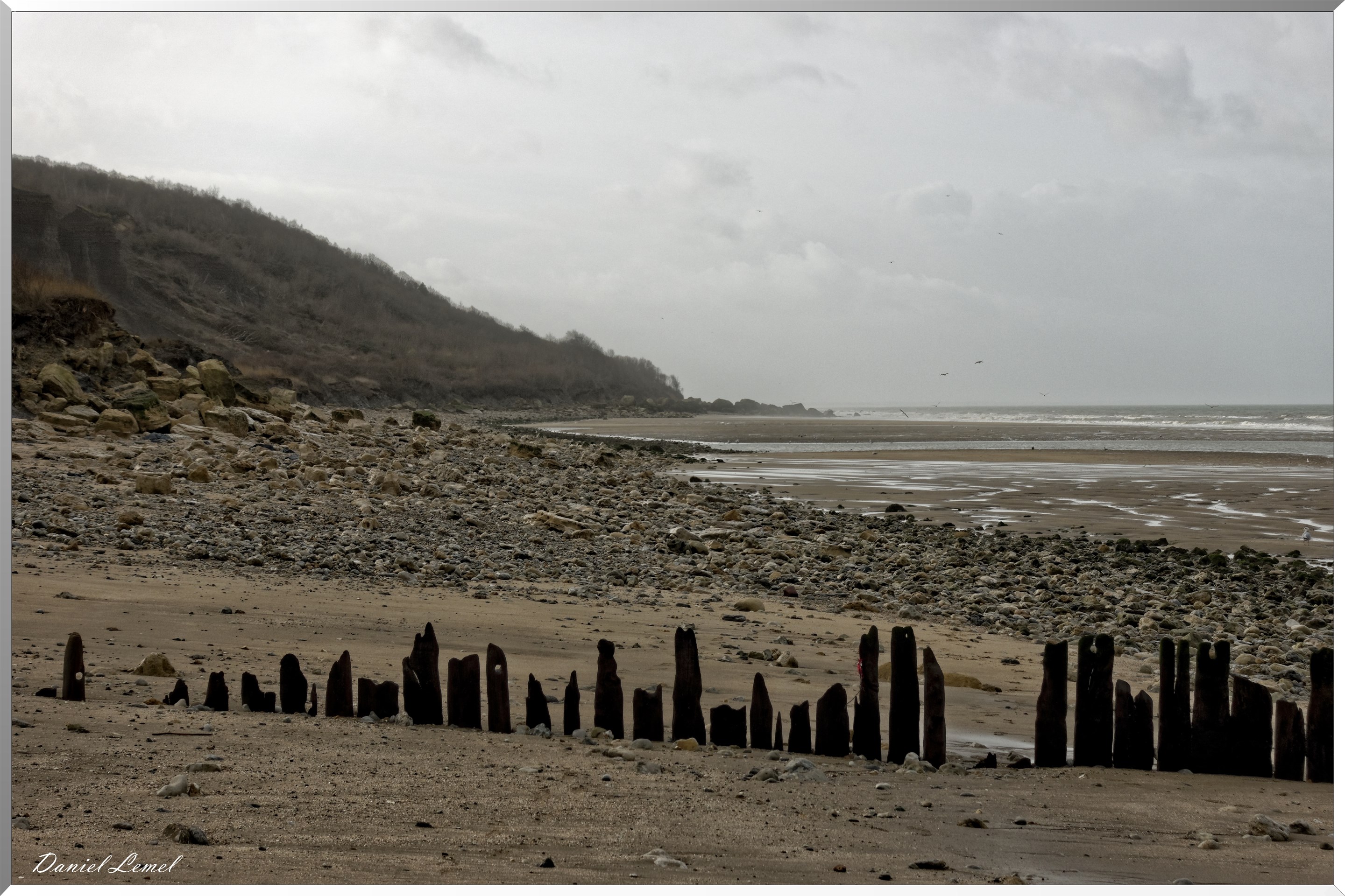 Falaises des vaches noires