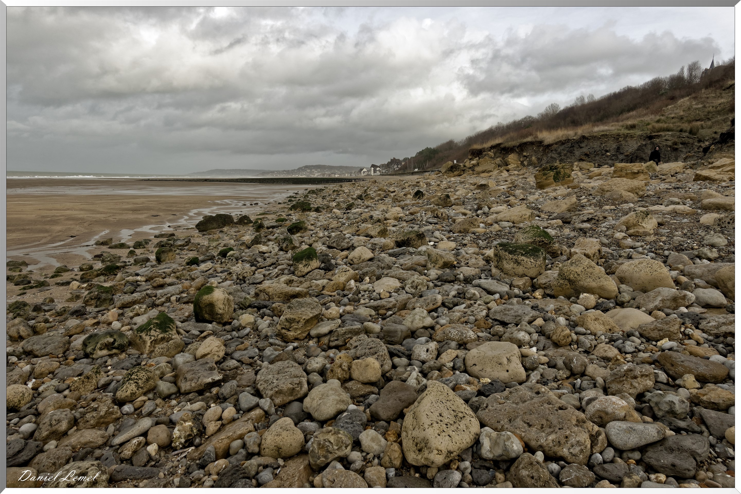 Falaises des vaches noires