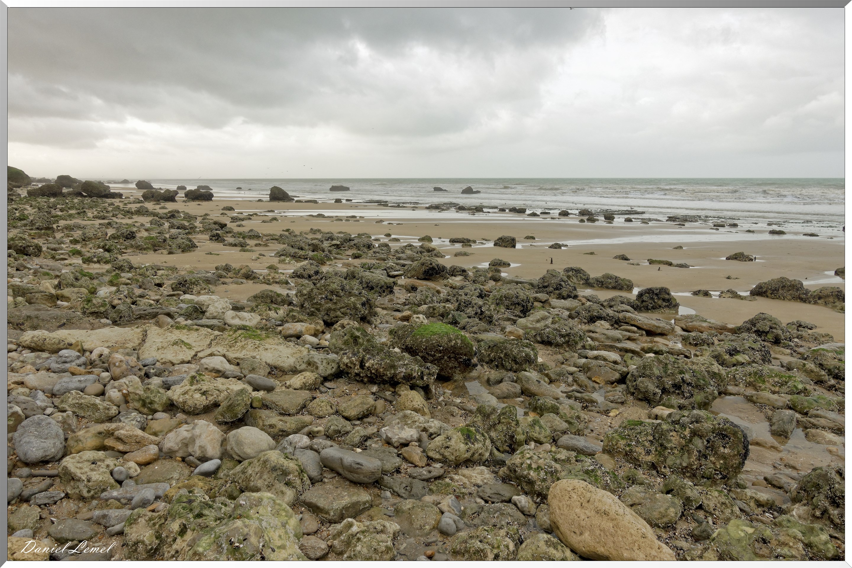 Falaises des vaches noires