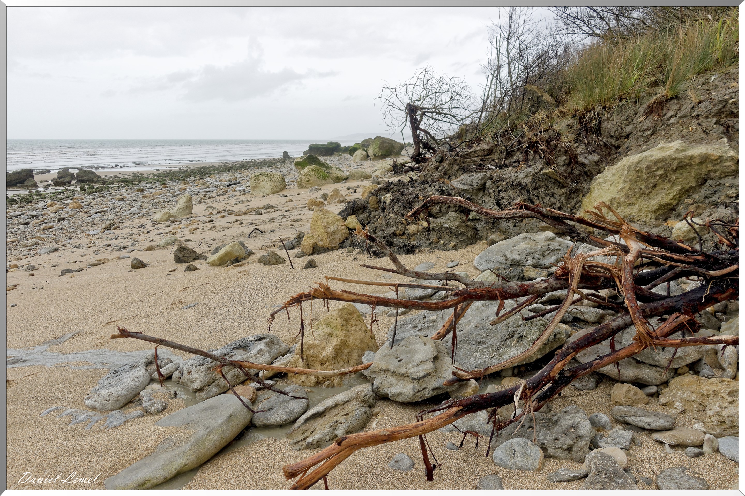Falaises des vaches noires